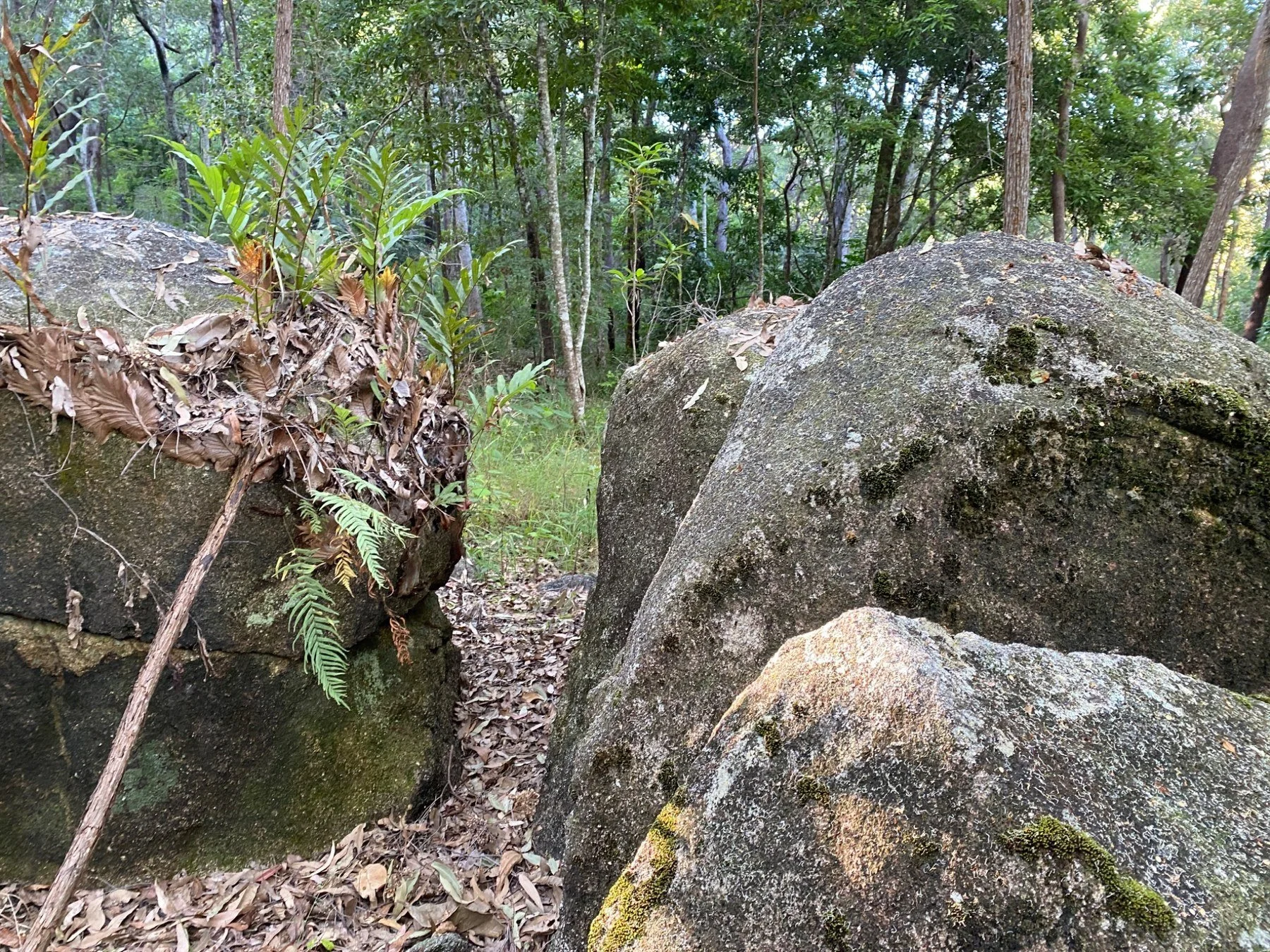 BloomisPoint_BoulderLandscape_Circ.jpg