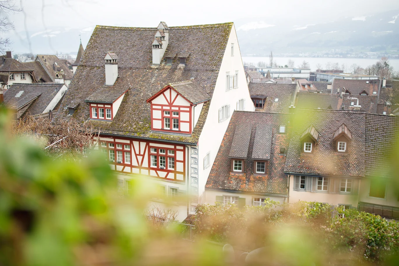 Rapperswil Castle, St. Gallen, Switzerland — Something Swiss