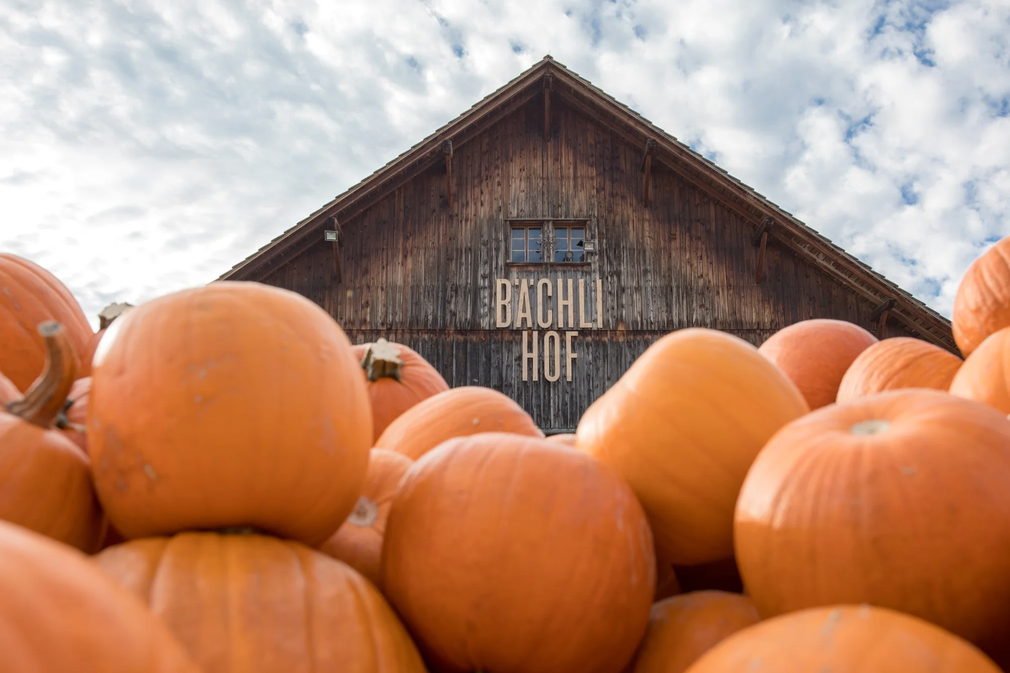 Bächlihof, Jucker Farm in Rapperswil-Jona, Switzerland — Something Swiss