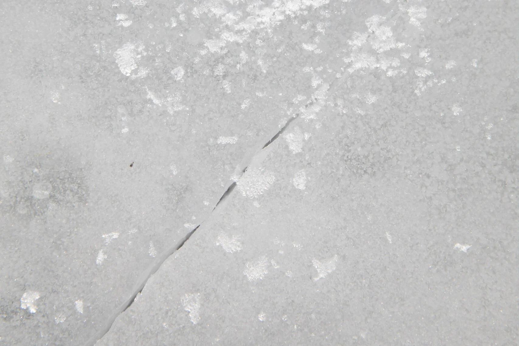 schwarzsee-ice-skating-check-something-swiss-switzerland.jpg