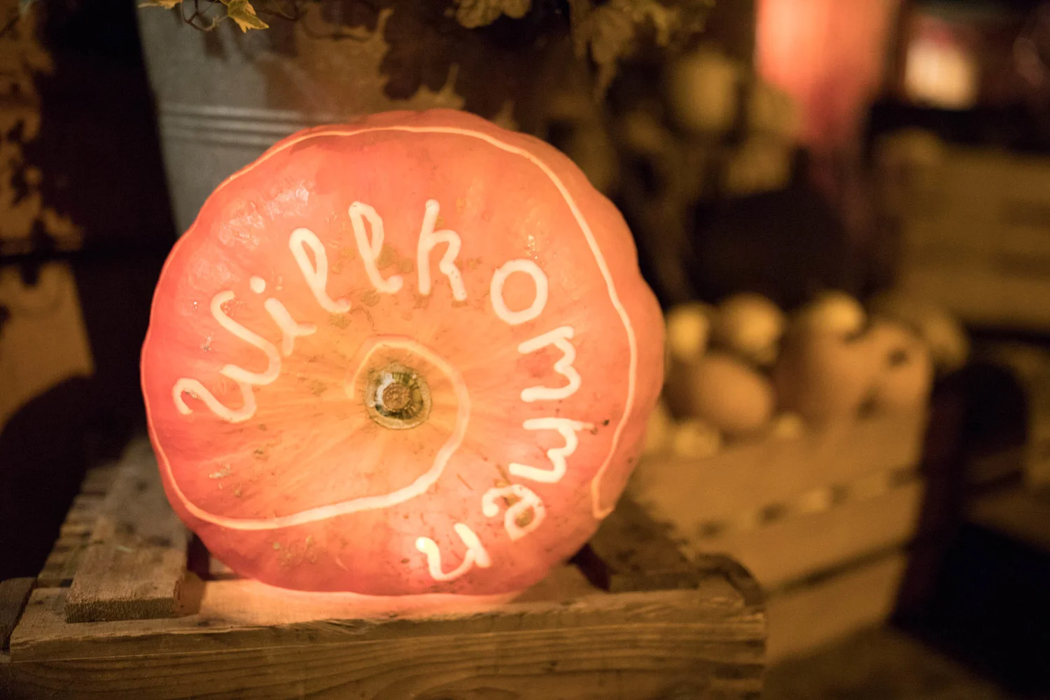 Magical Pumpkin Festival After Dark