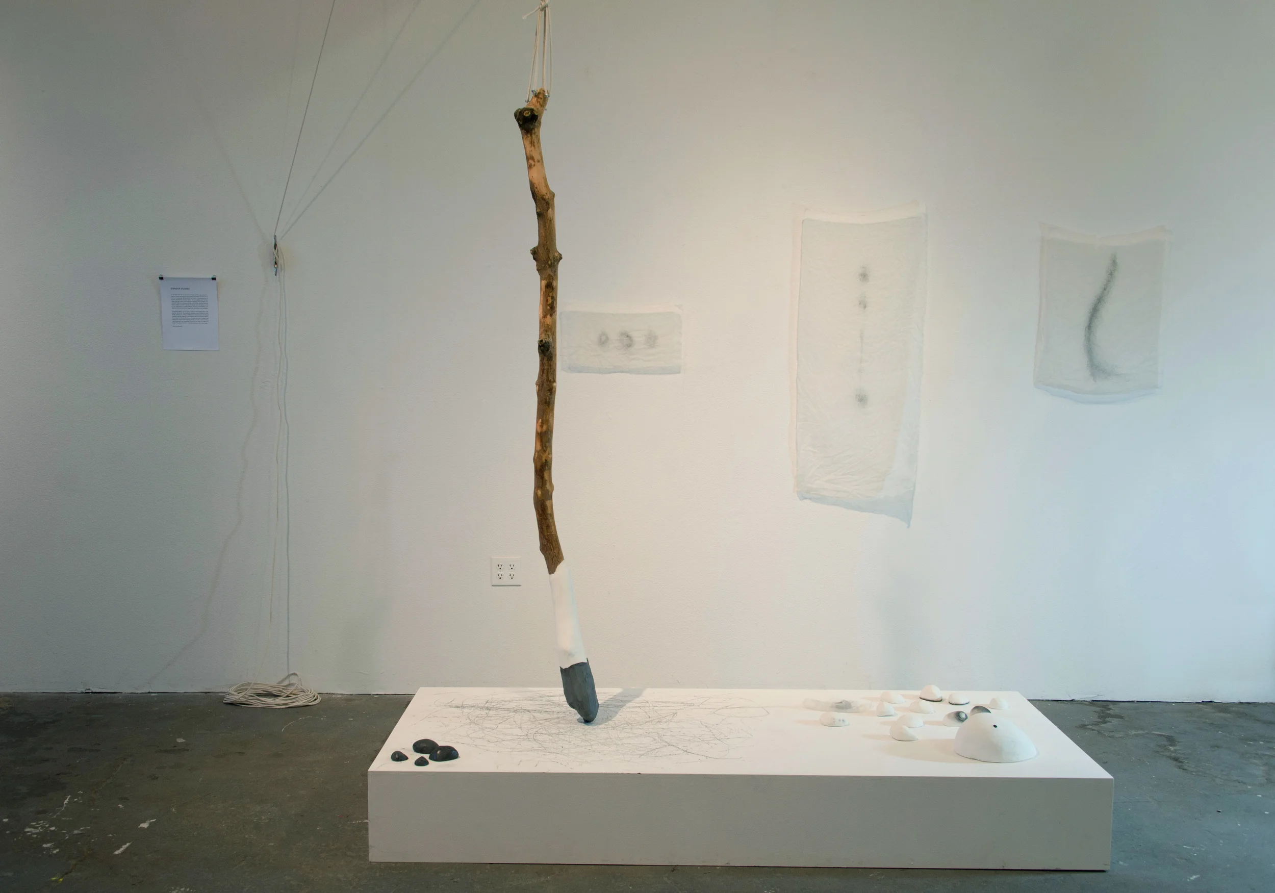   What Gets Revealed , 2016, installation view, mixed media; photo by Jodi J. Jack.    