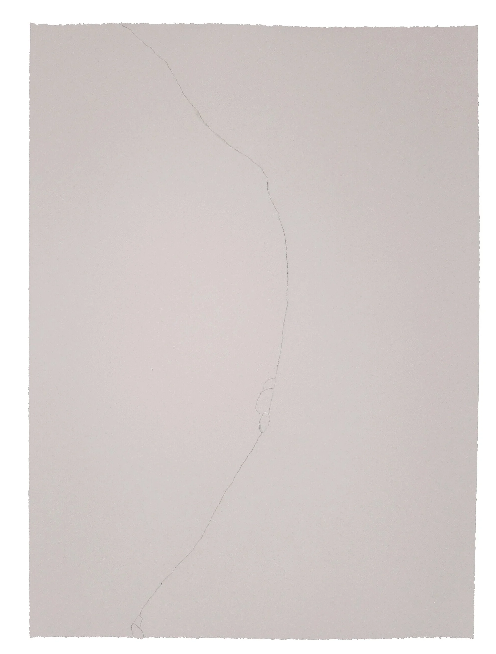 Pebbles , 2019, graphite, chalk pastel on paper, 40 x 50”; photo by Phil Harris.