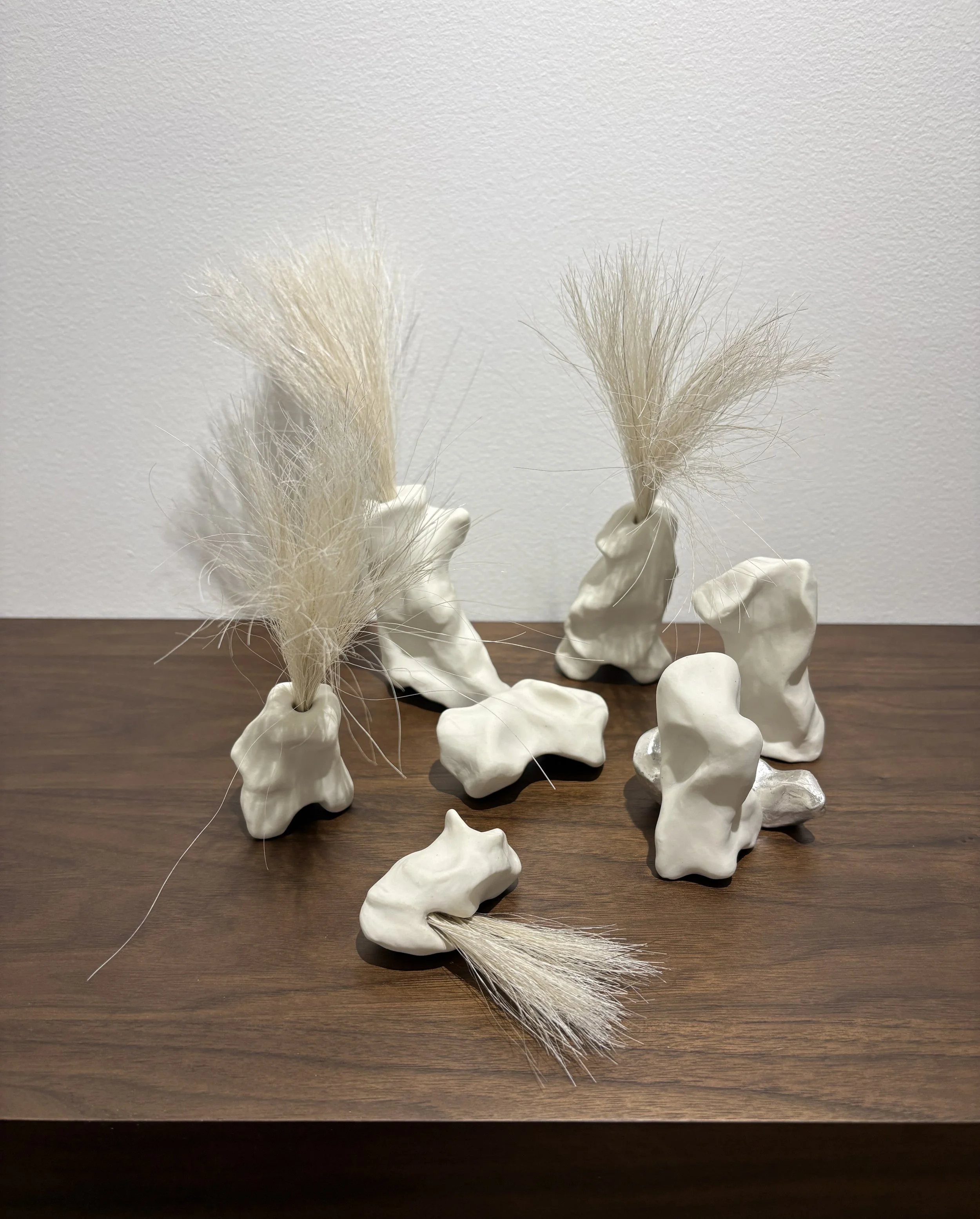   How We Gather , 2026, porcelain, horsehair, sterling silver leaf, variable sizes (eight pieces) 