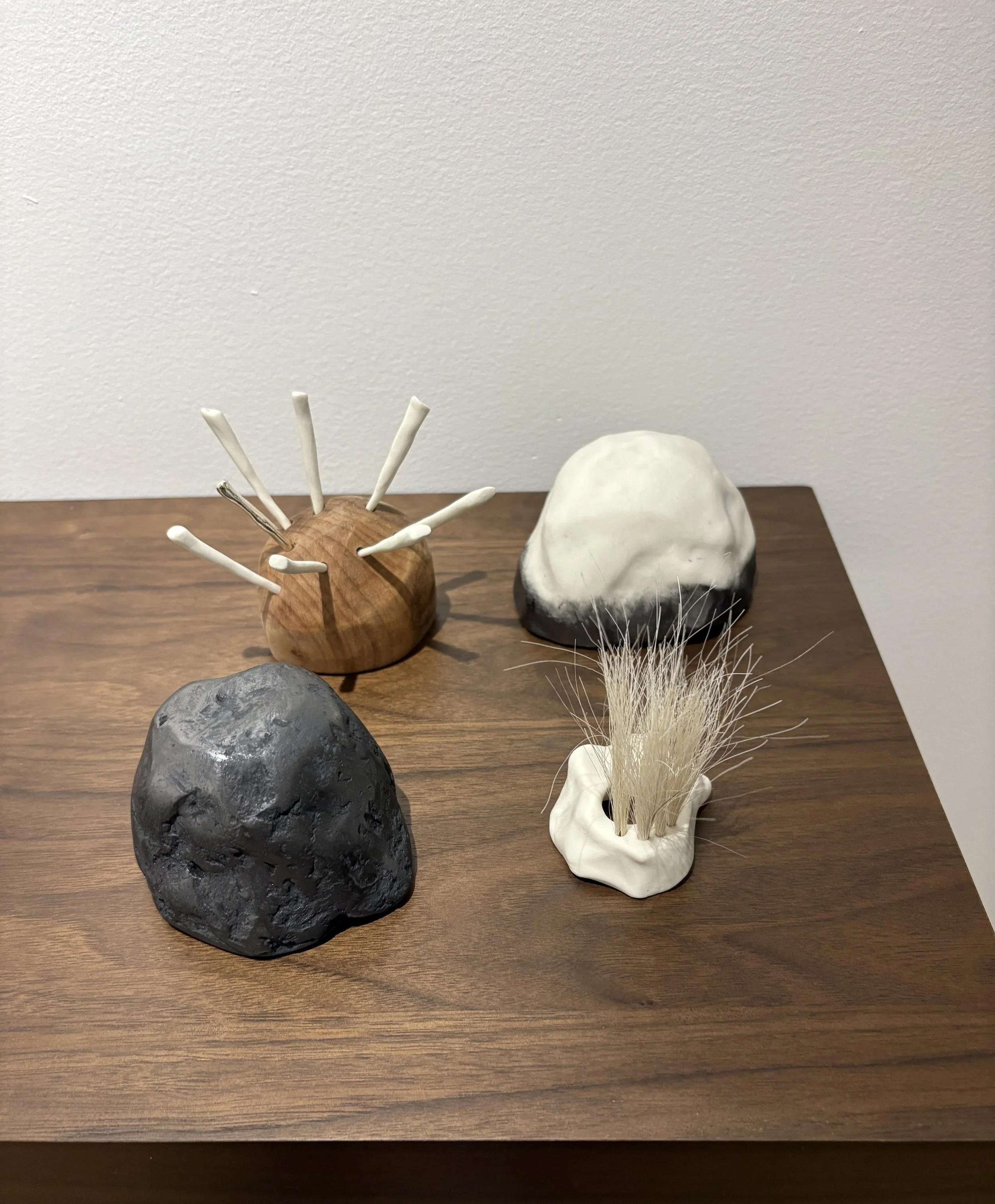   Dream Stories , 2026, wood, porcelain, horsehair, graphite, sterling silver, variable sizes (four pieces) 