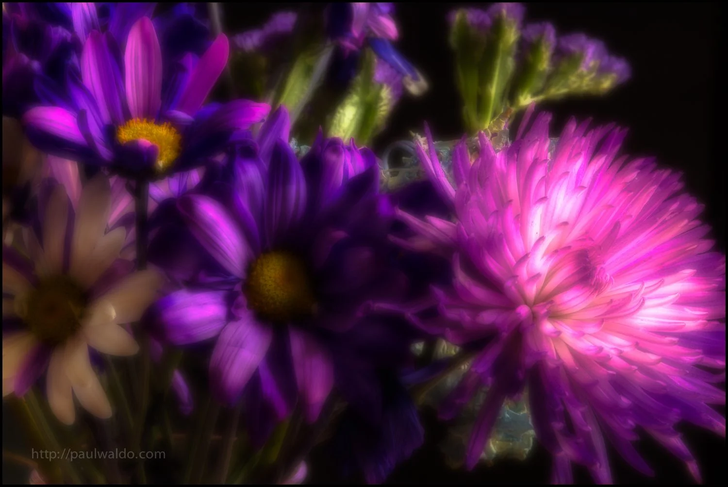 Orton Flowers