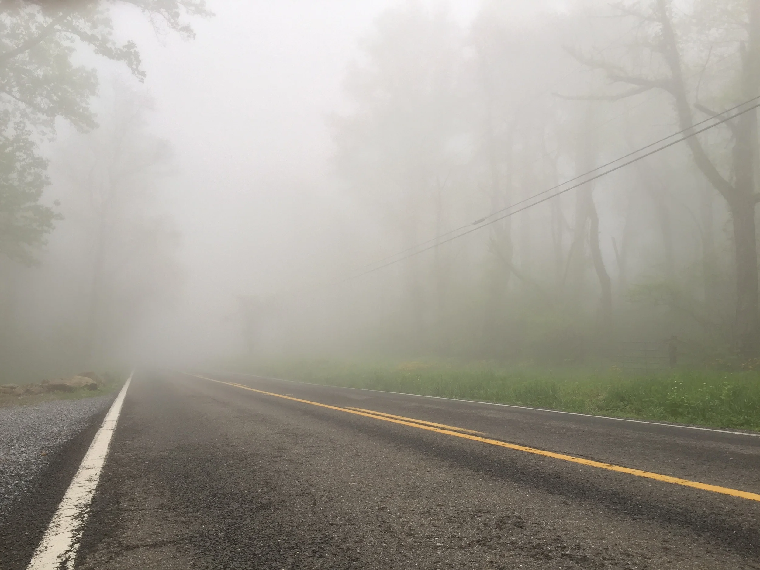 Fog on the mountain