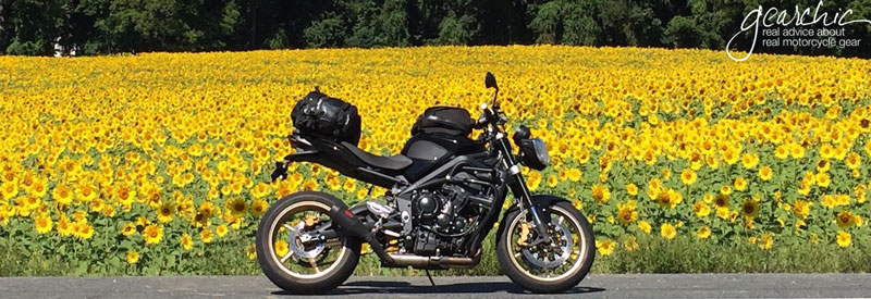 Mysterious Sunflower Field in Maryland