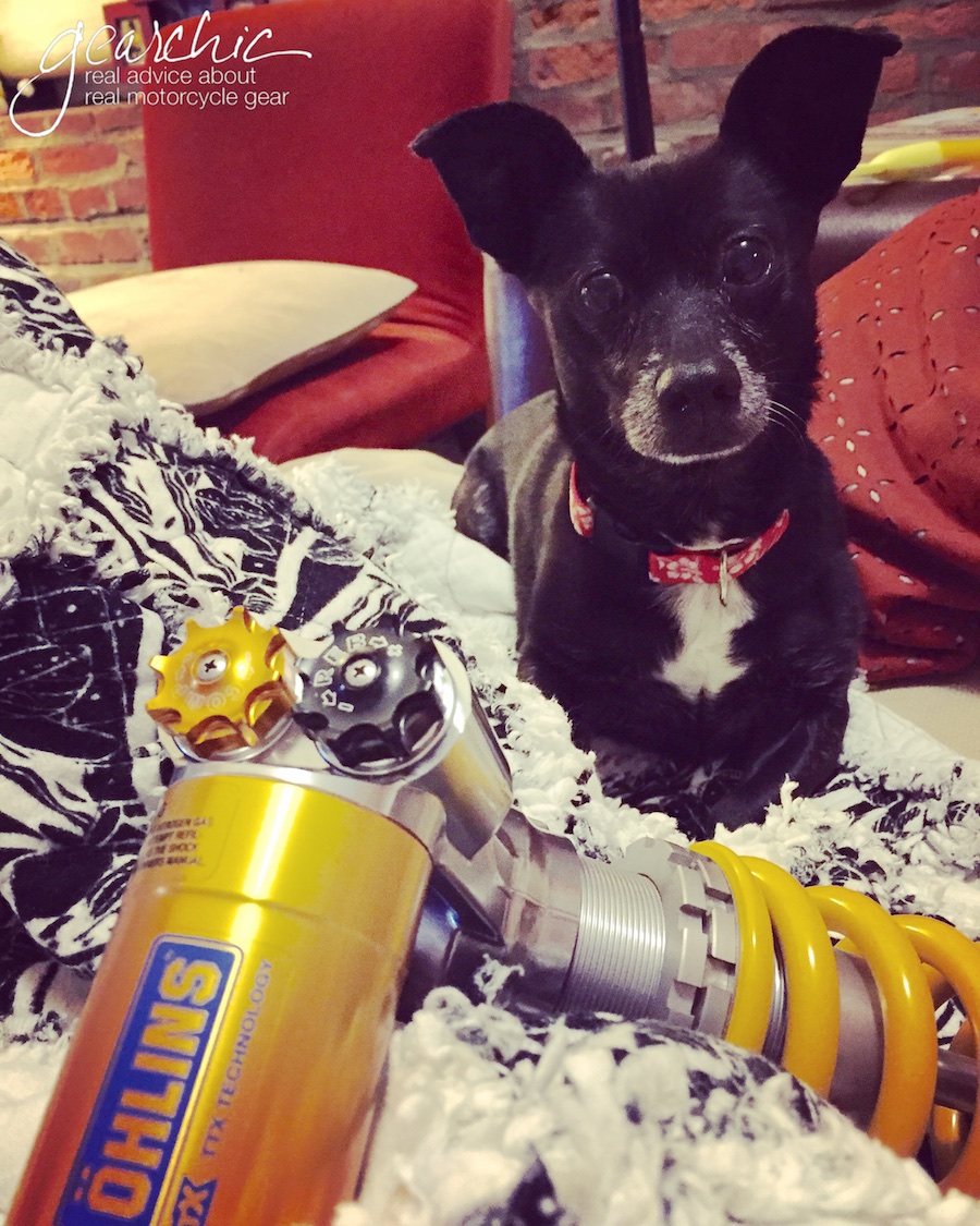 Benny, with the original Ohlins Shock that was gifted to me by the best husband, ever. 