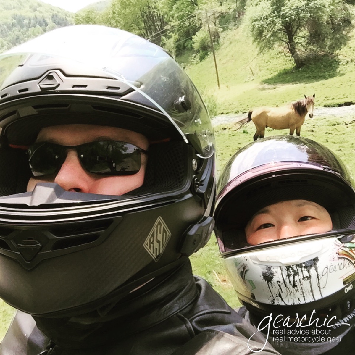 I think the horse is looking at us like we're crazy. 