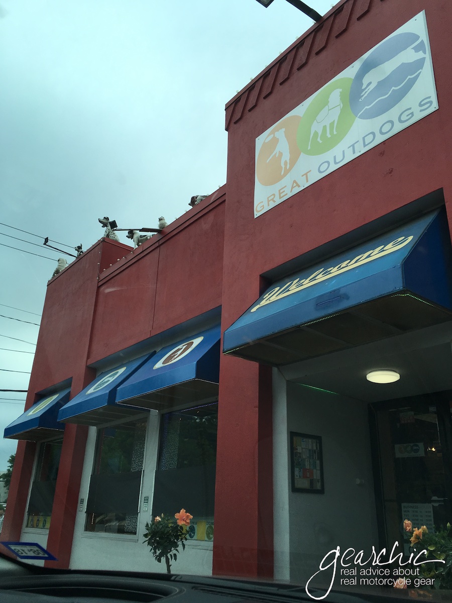 Yep, those are fake dogs on the roof! 