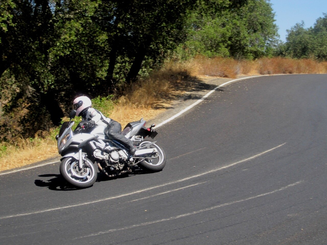 Riding the '03 SV650S in California