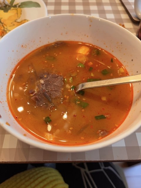 Mom's Spicy Beef Soup