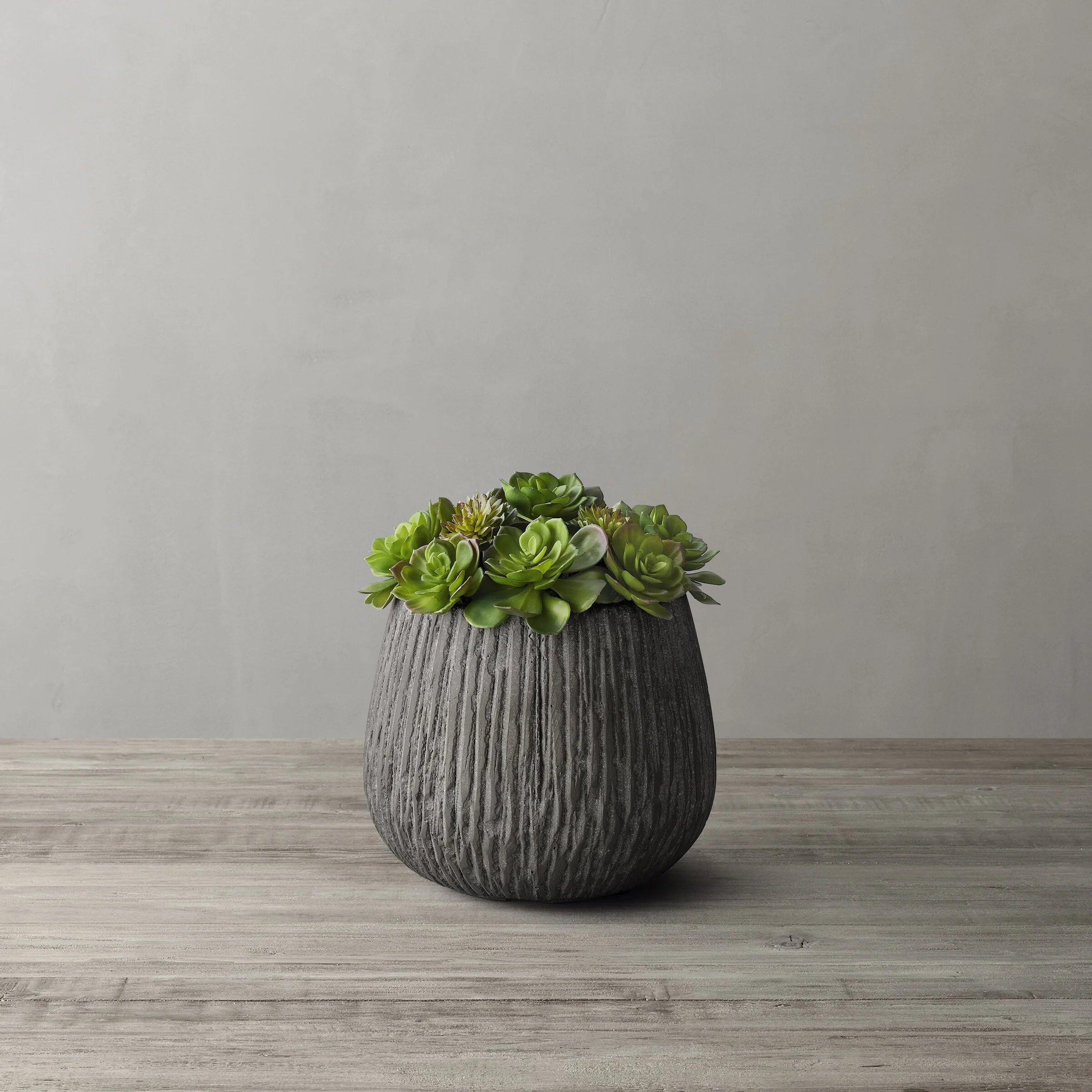 MultiSucculentMold_InForCarvedConcreteVessel_TallSmall_prod15950168_E91126576_F copy.jpg