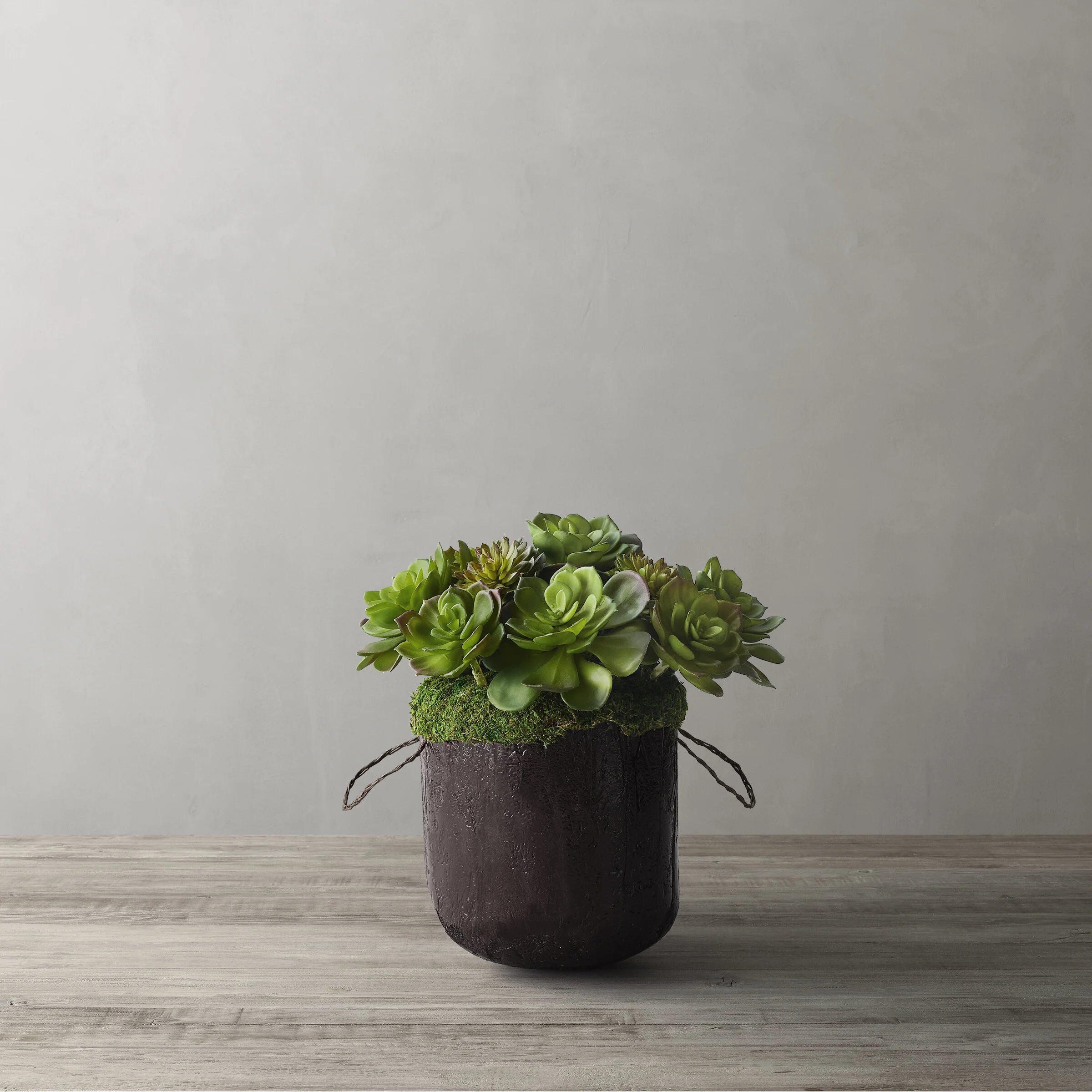 MultiSucculentMold_InForCarvedConcreteVessel_TallSmall_prod15950168_E91126576_F_V1 copy.jpg