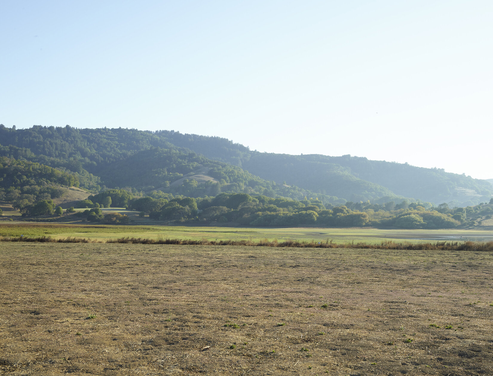 Selected Outdoor Background