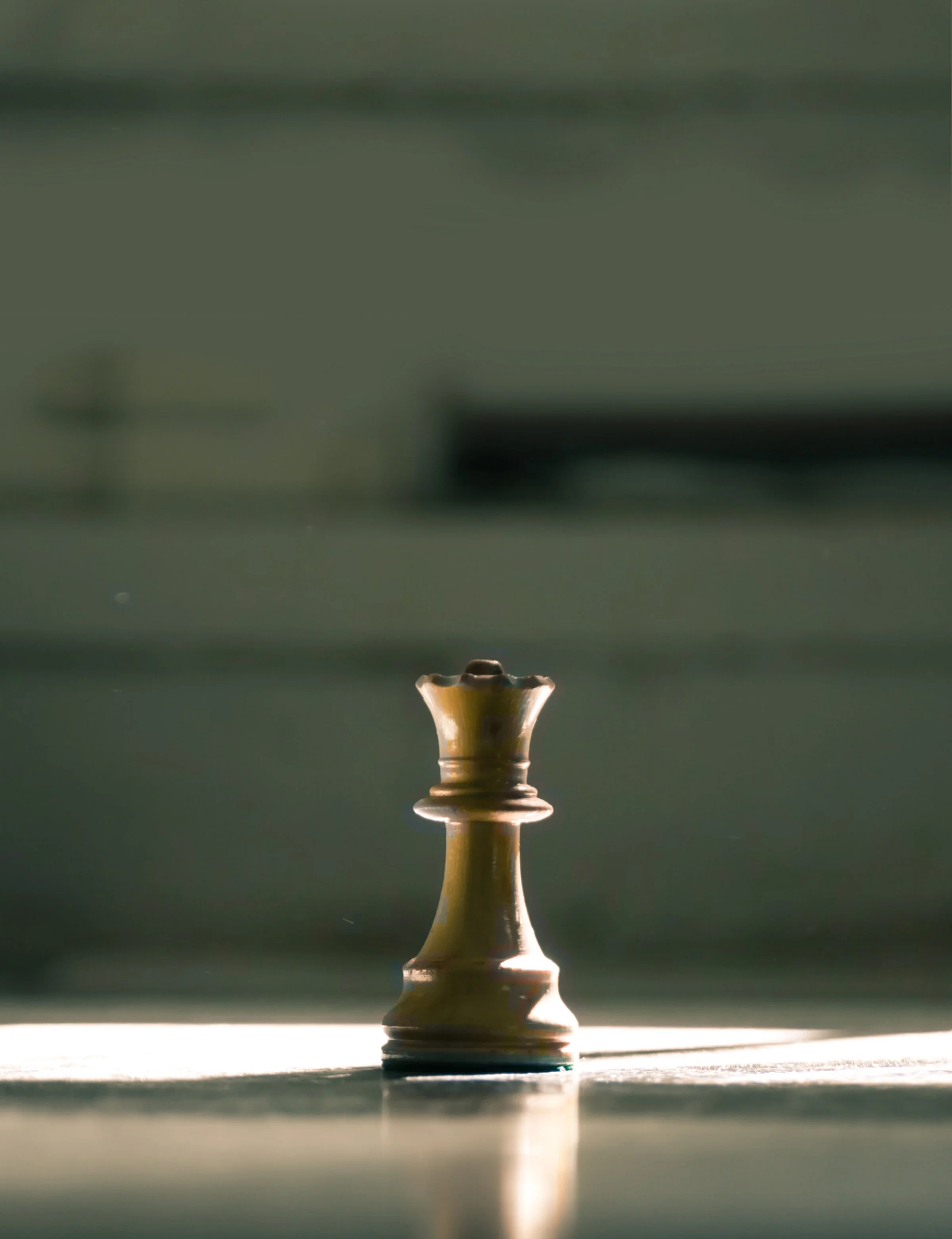 Shishiedo Only J+ Final Portfolio Background 2.jpg