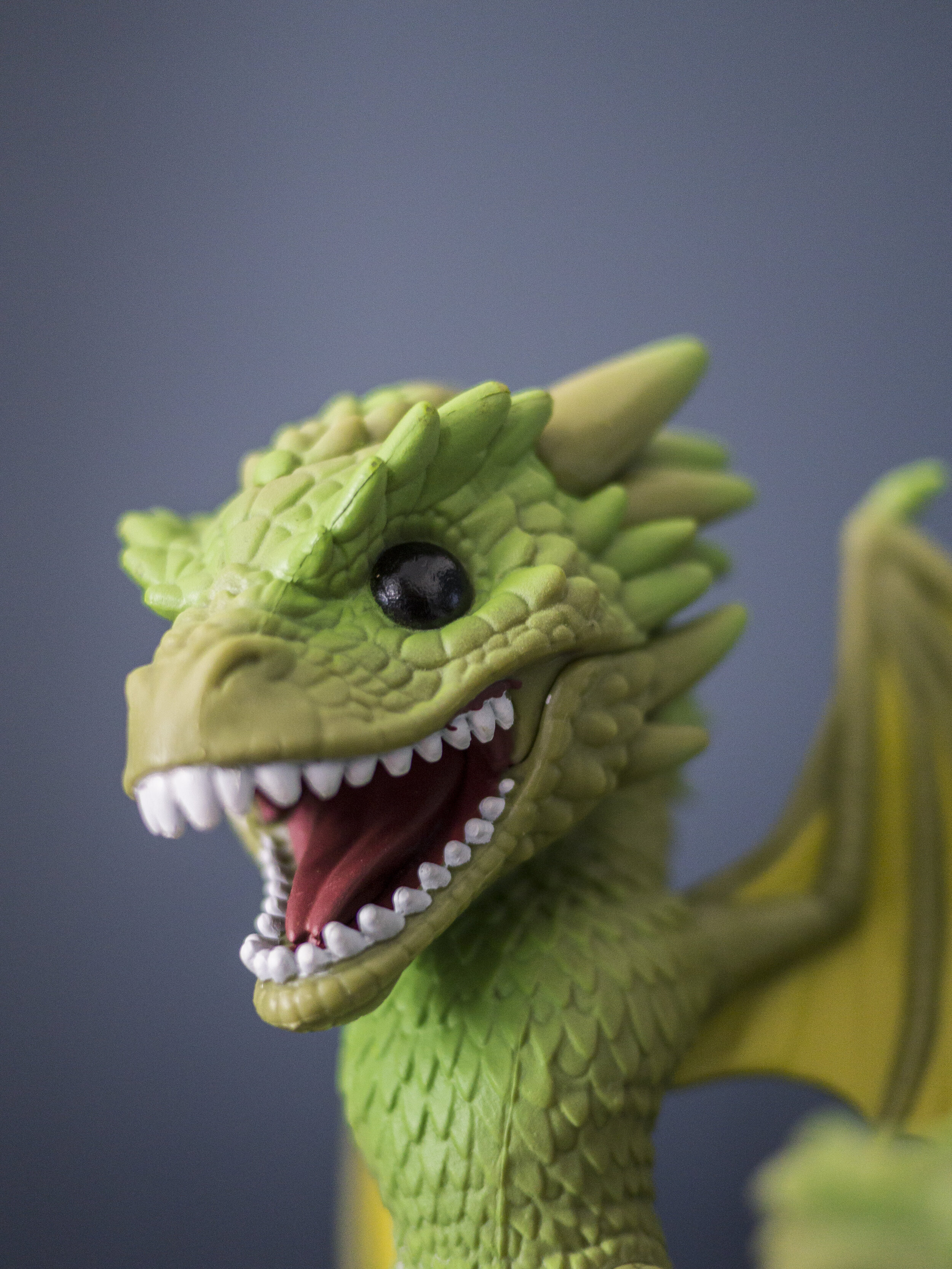 Drugu dragon 2020 original.jpg