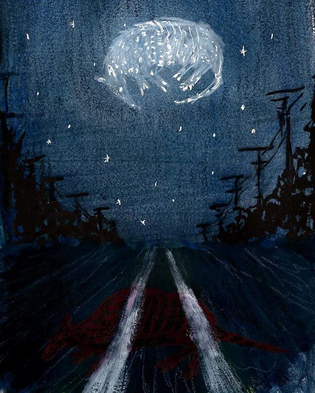 You can never go home again
.
.
.
#illustration #armadillo #ink #guoache #roadkill