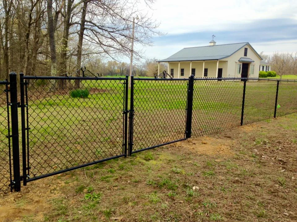 chain link.jpg