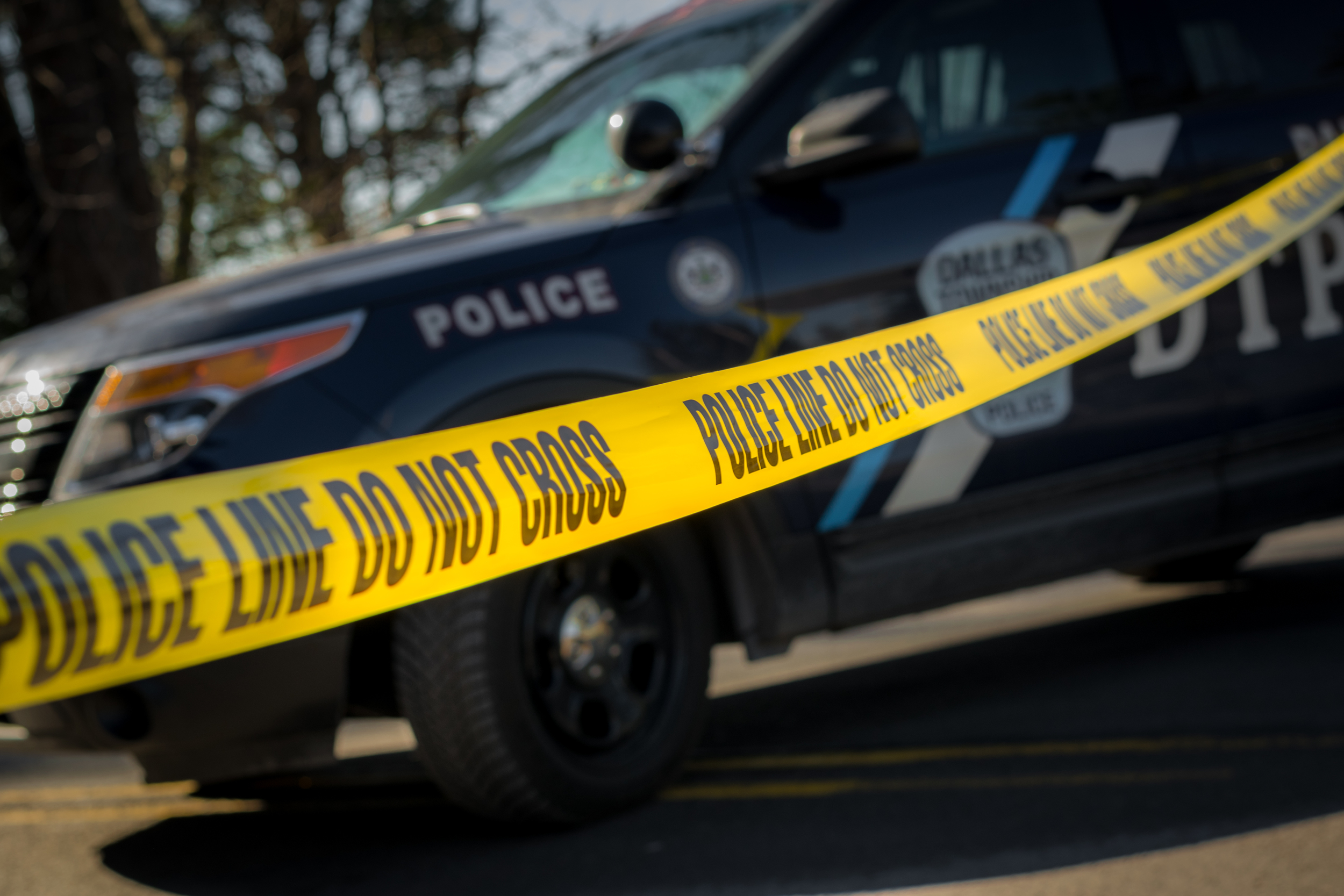 Nothing to see here.jpg