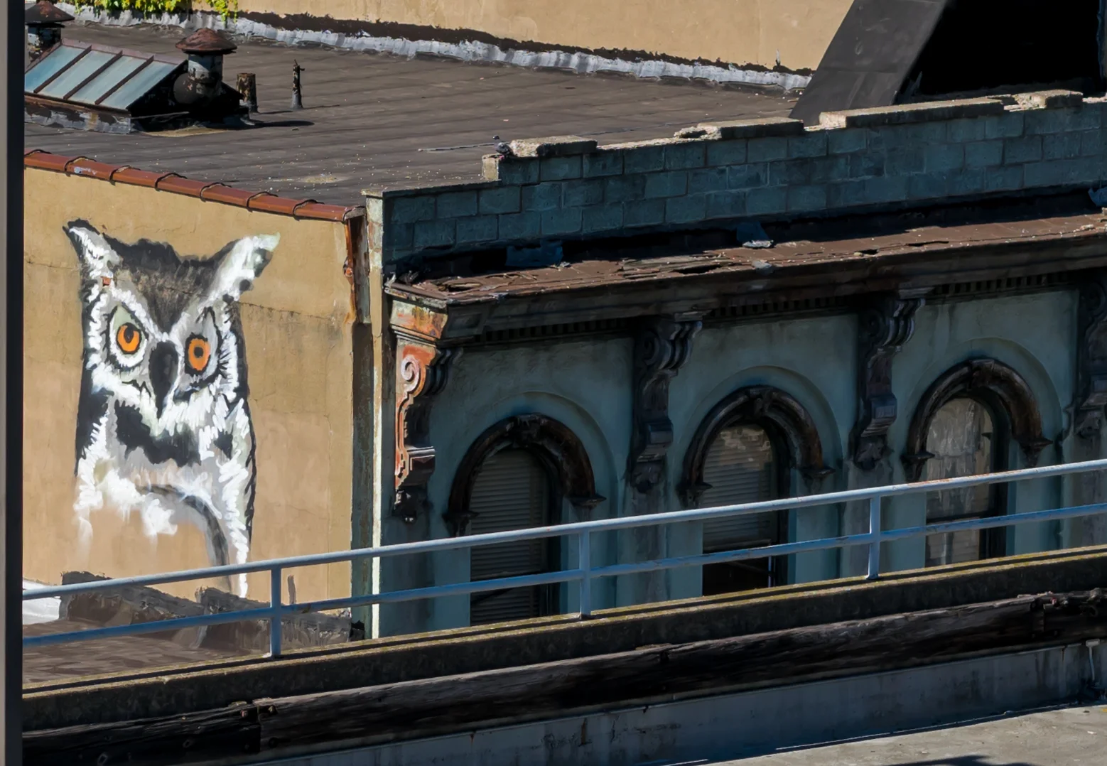 Scranton owl.jpg