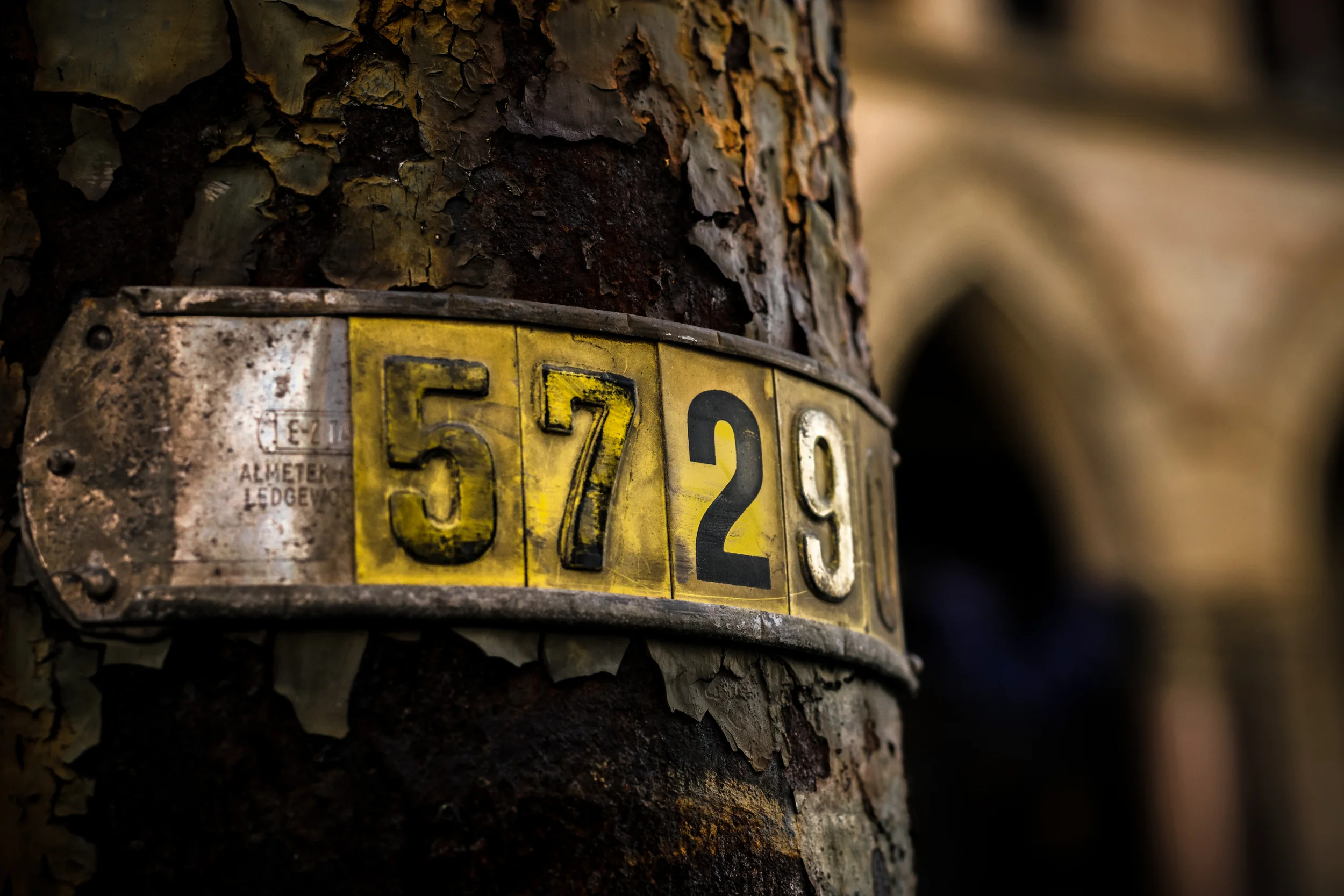 Rustic or rusted.jpg