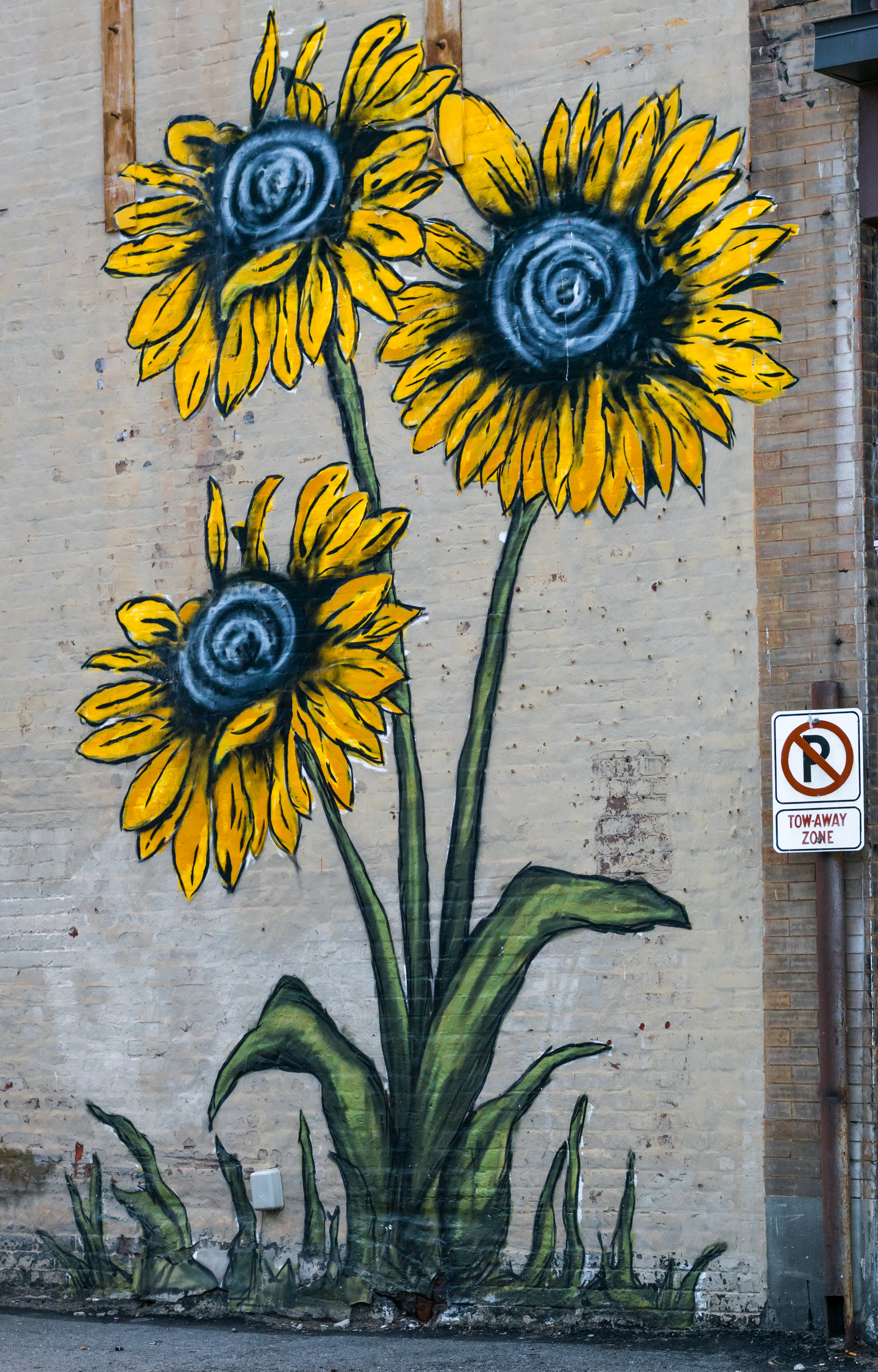 Sunflower mural.jpg