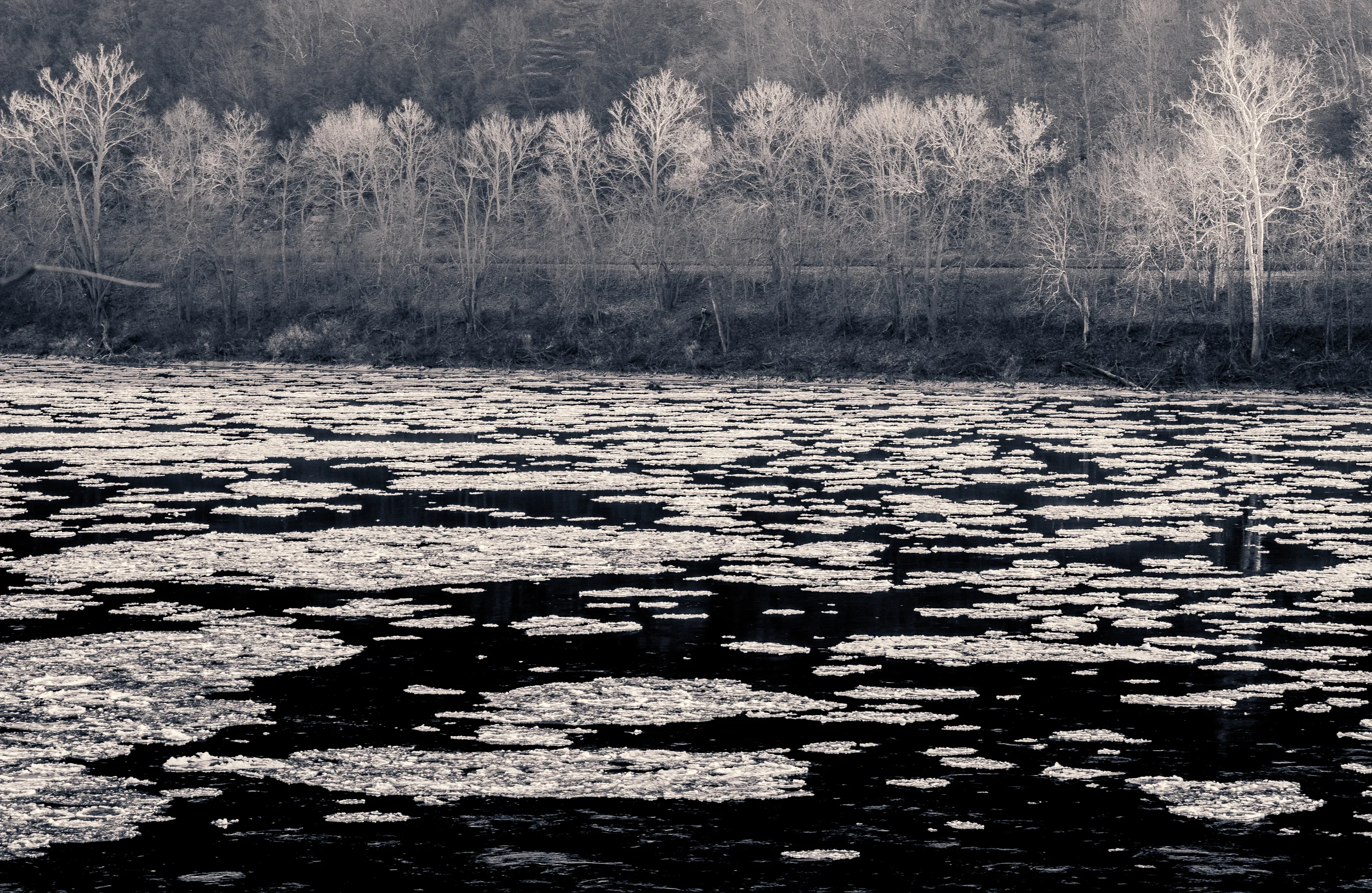 Ice floes 1.jpg