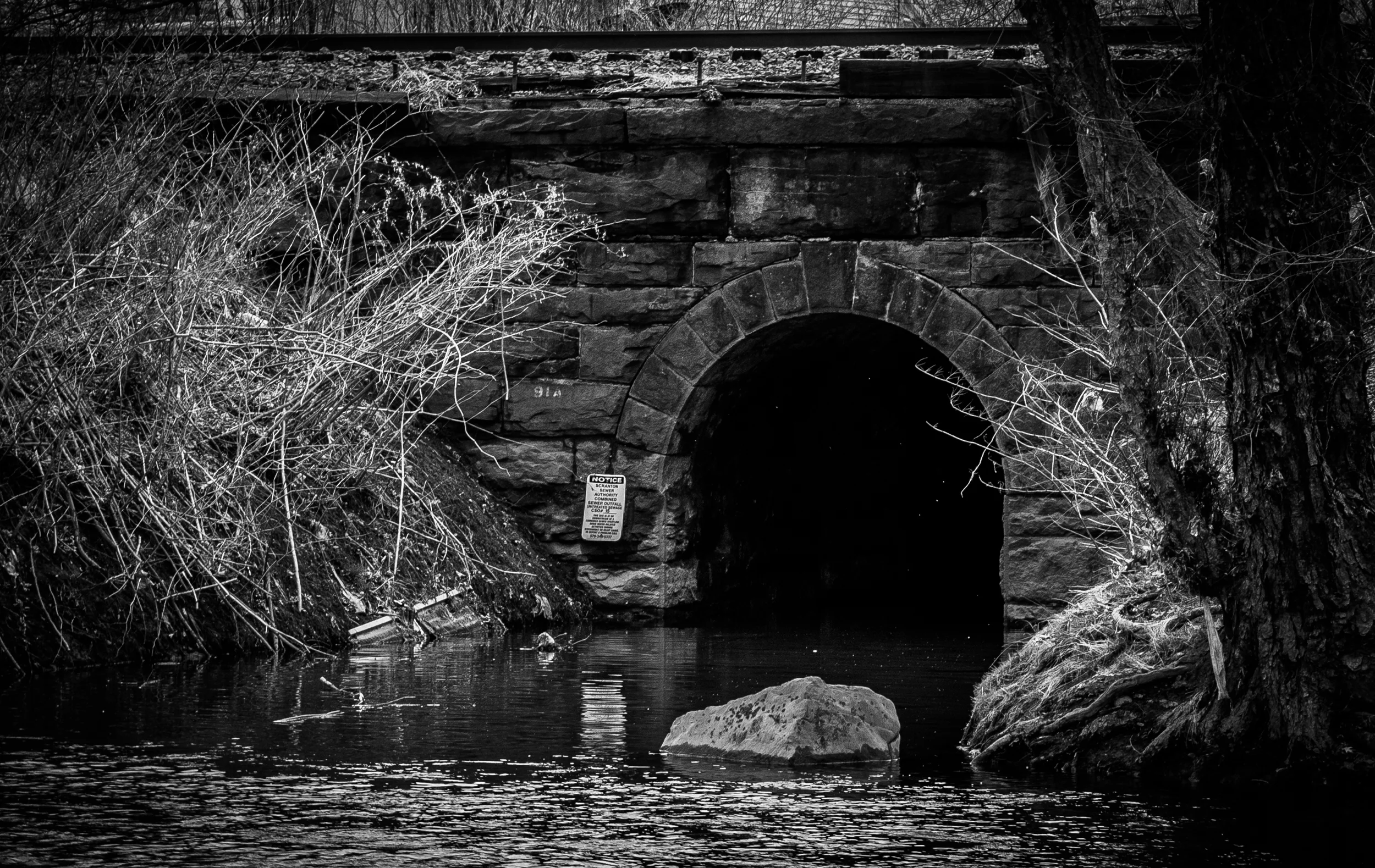 Lackawanna river.jpg