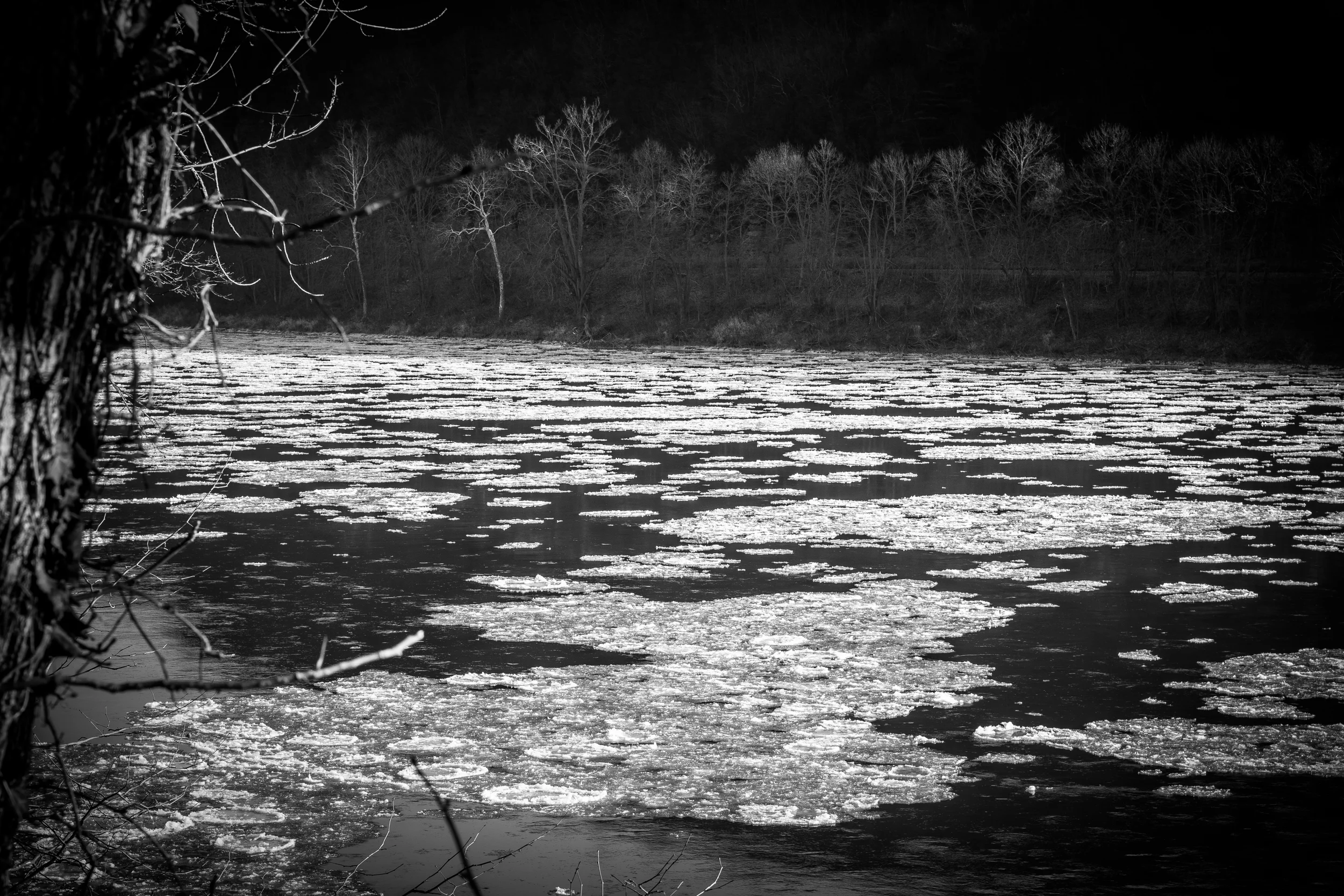Ice floes 2.jpg