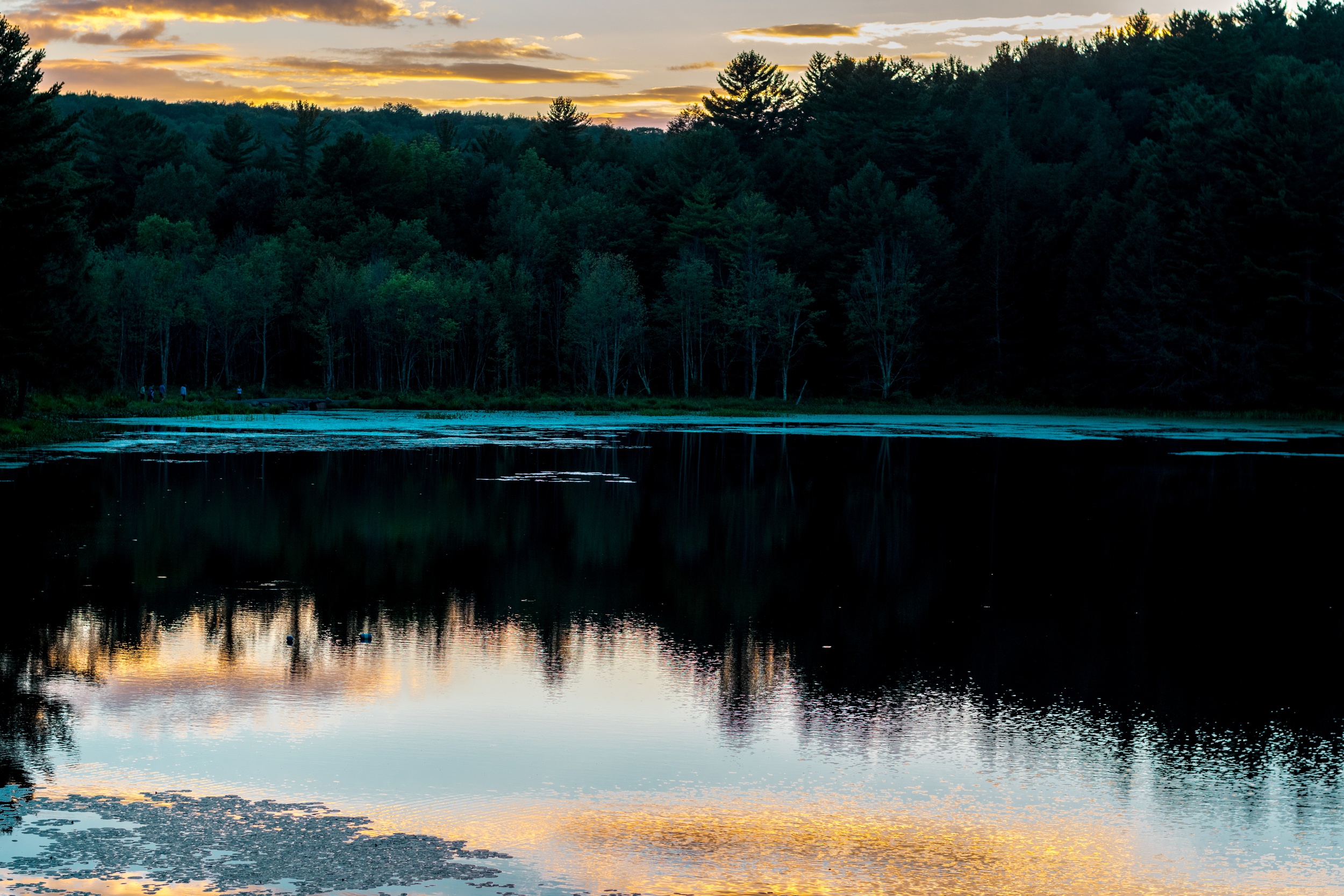 Pond sunset.jpg