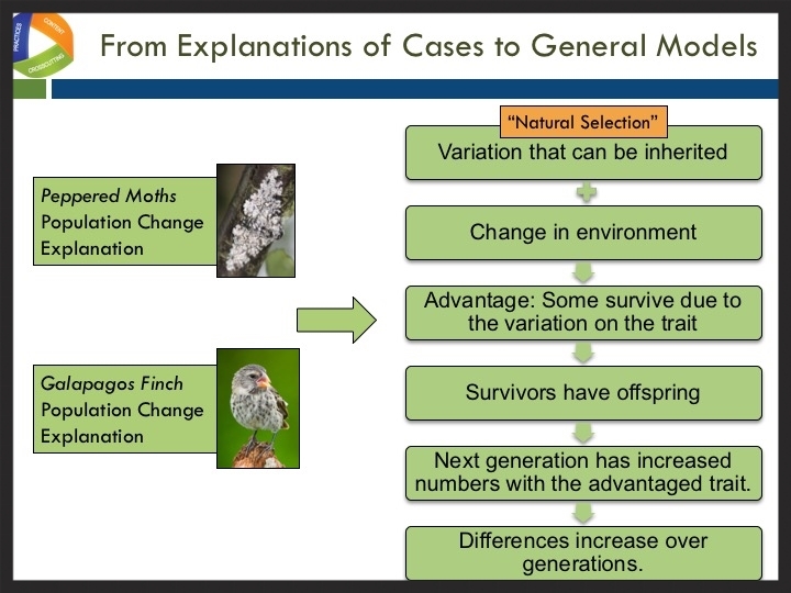 Making sense of the world through science and engineering practices