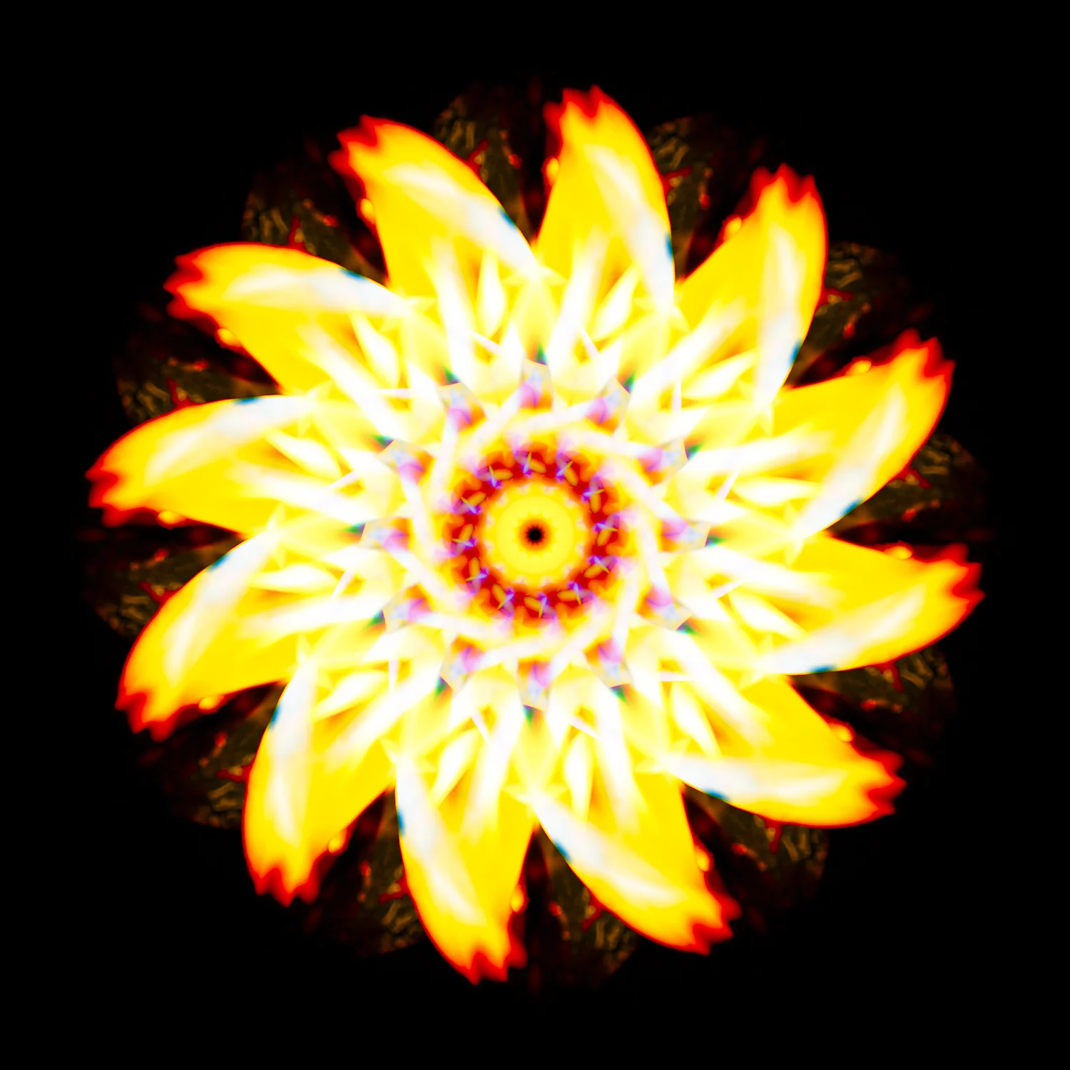 Phoenix Flower.jpg