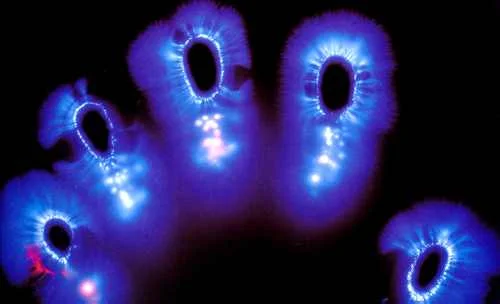 kirlian-fingerprints.jpg