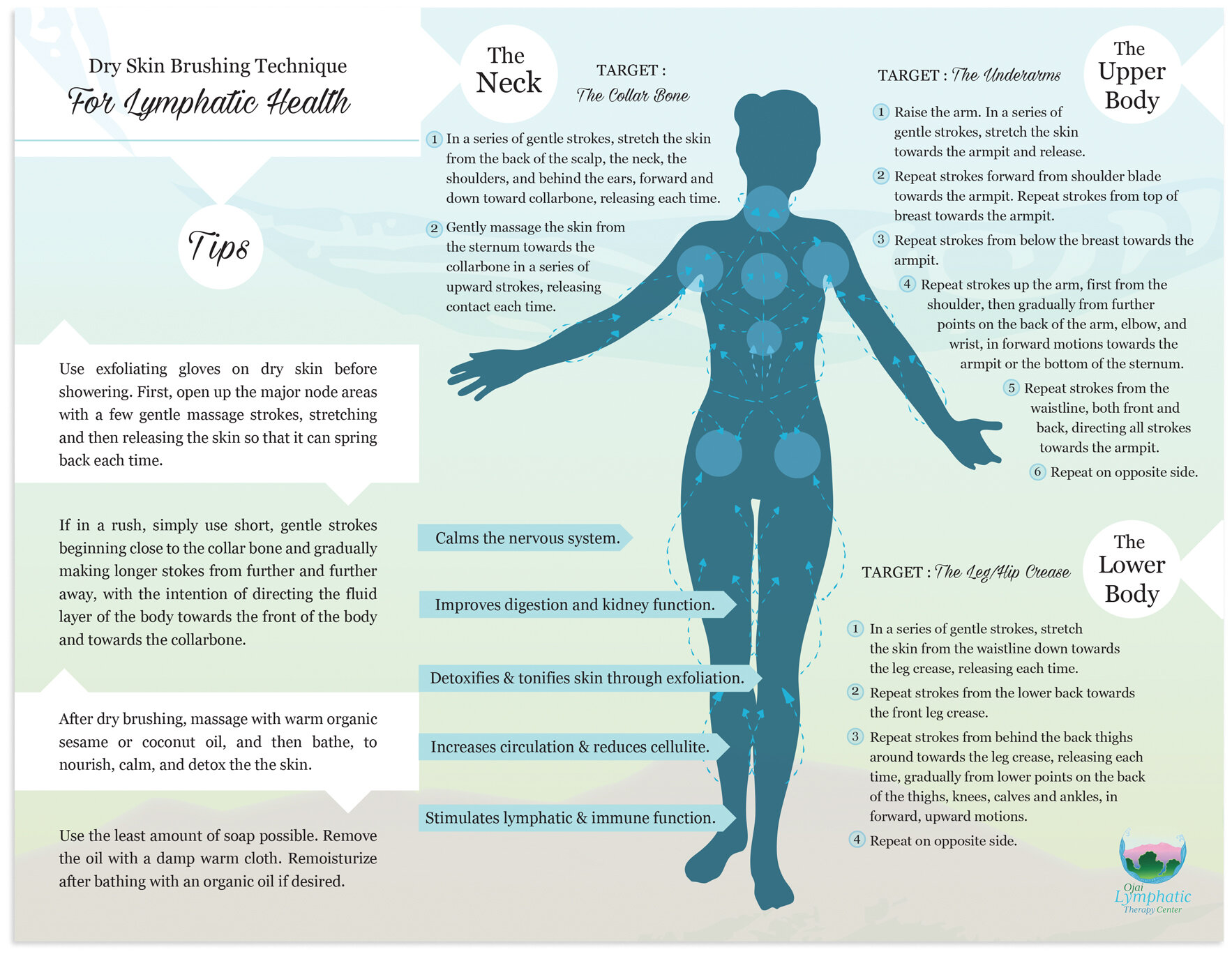 Body Brushing Technique — Ojai Lymphatic Therapy