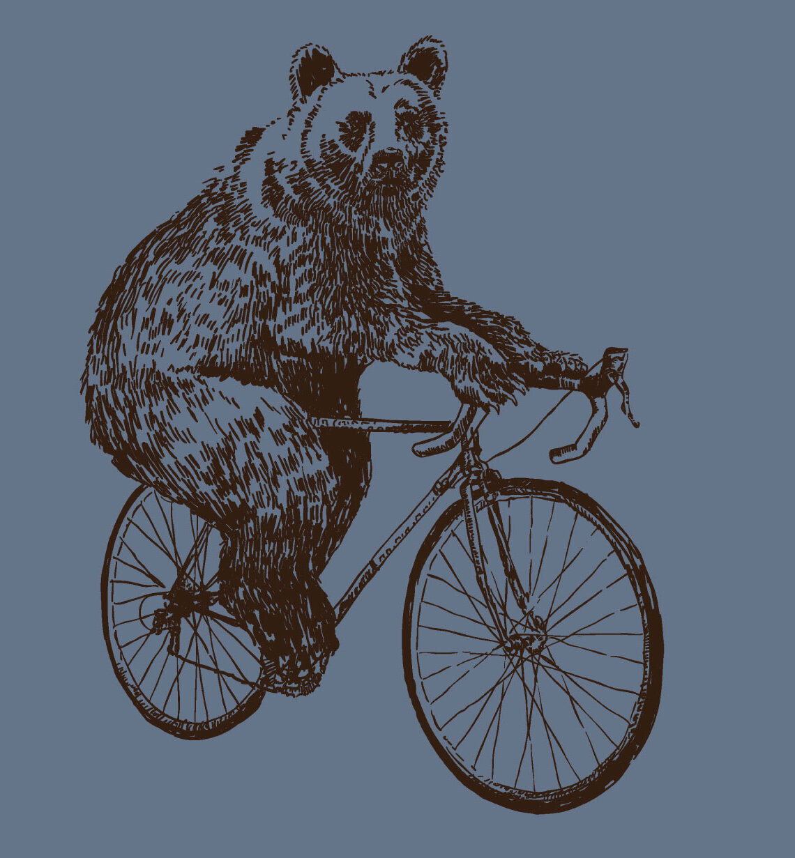 A-biking-bear.jpg