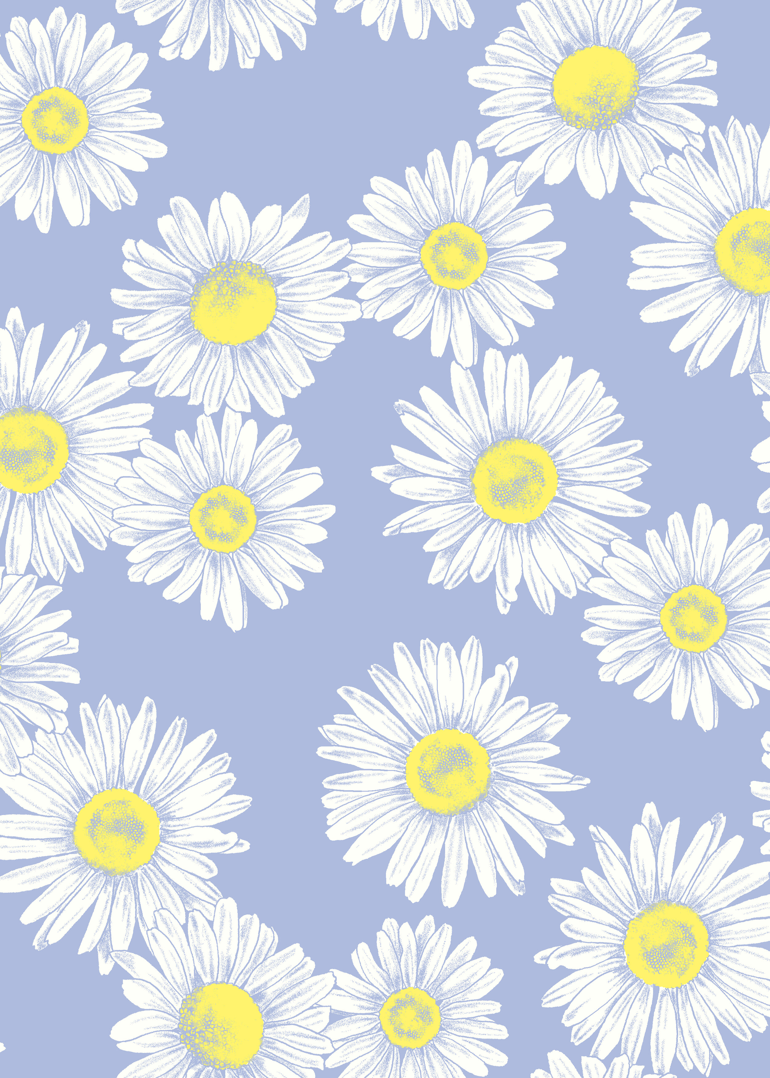 drawn daisies.jpg