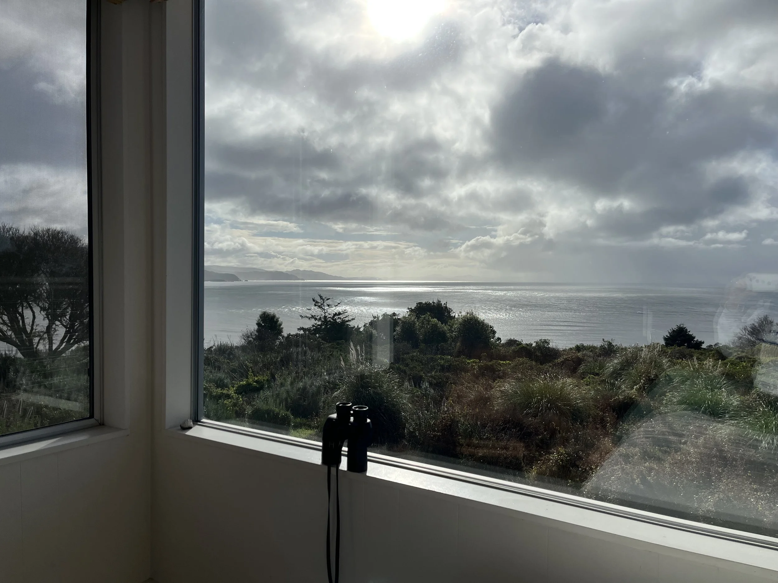IMG_2597.jpeg