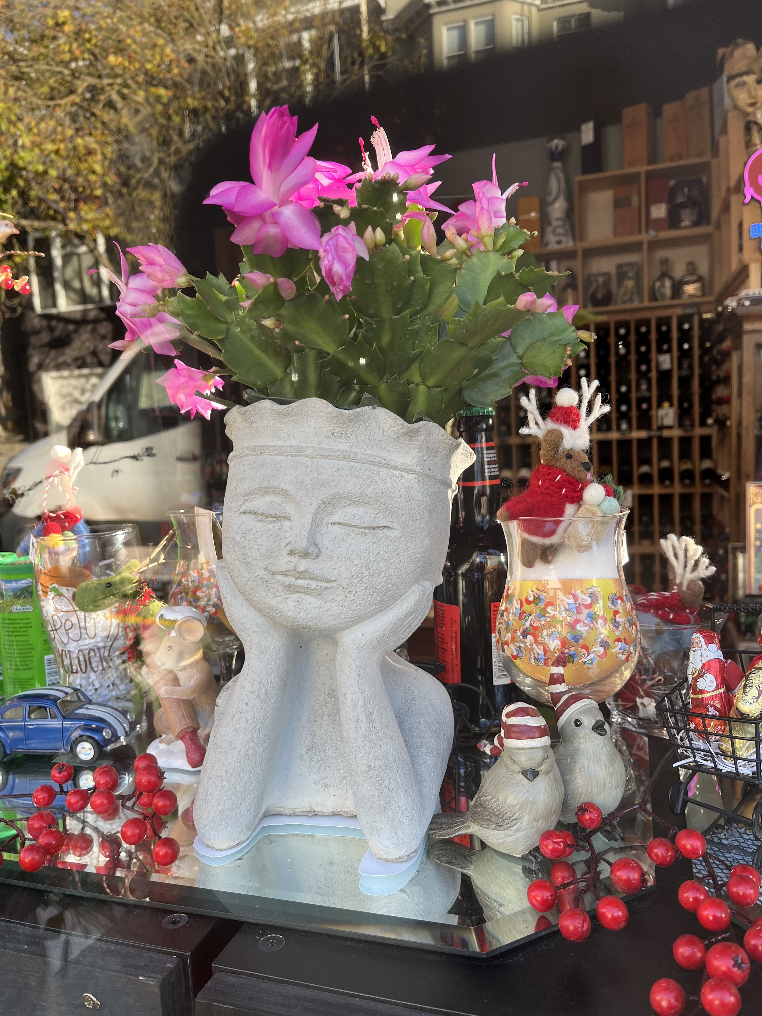 Holiday display in shop window with a plant pot resembling a female bust sculpture with a Schlumbergera planted to look like her hair.