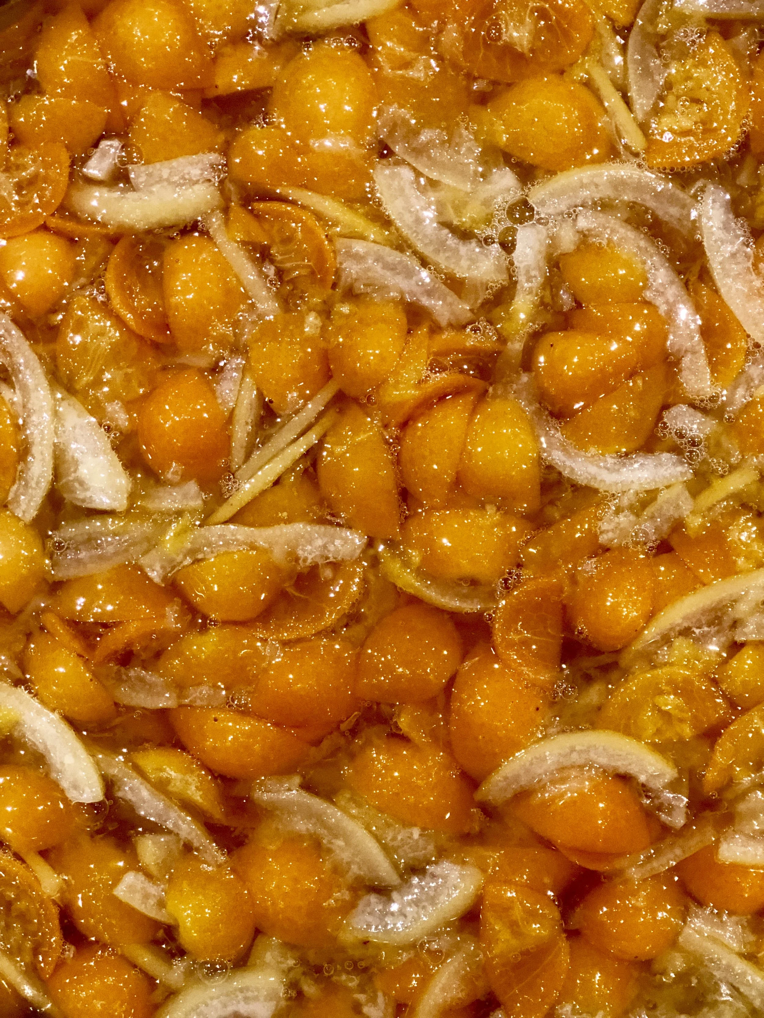 Kumquat-Lemon Marmalade 