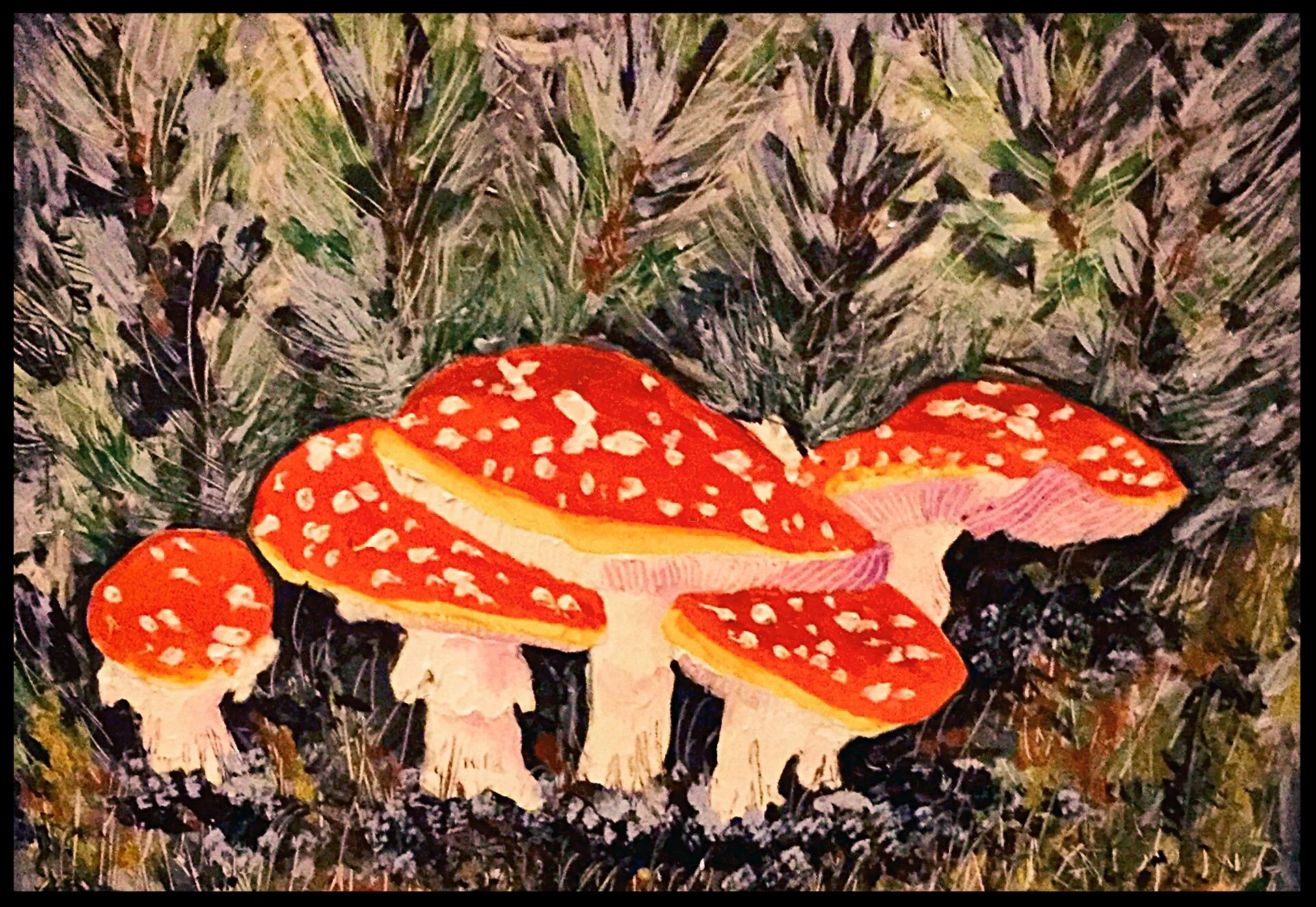 DANGEROUS BEAUTY