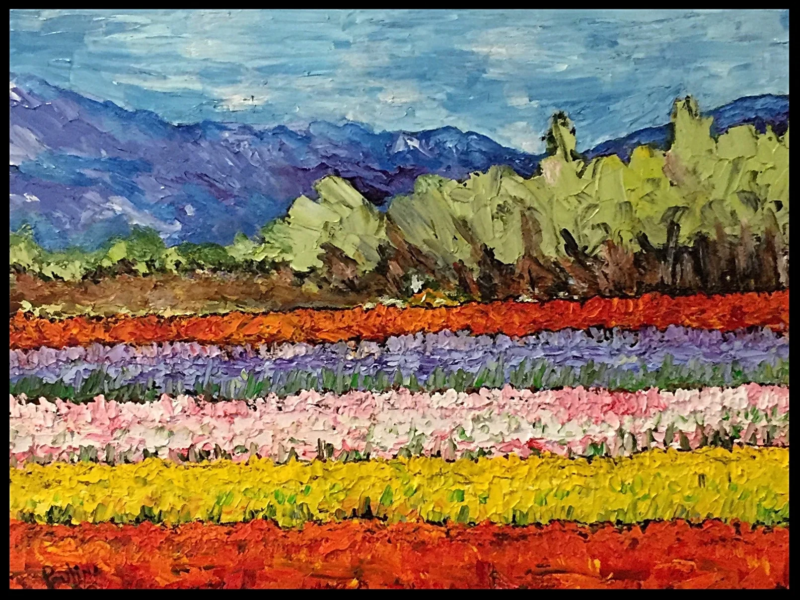 SKAGIT VALLEY