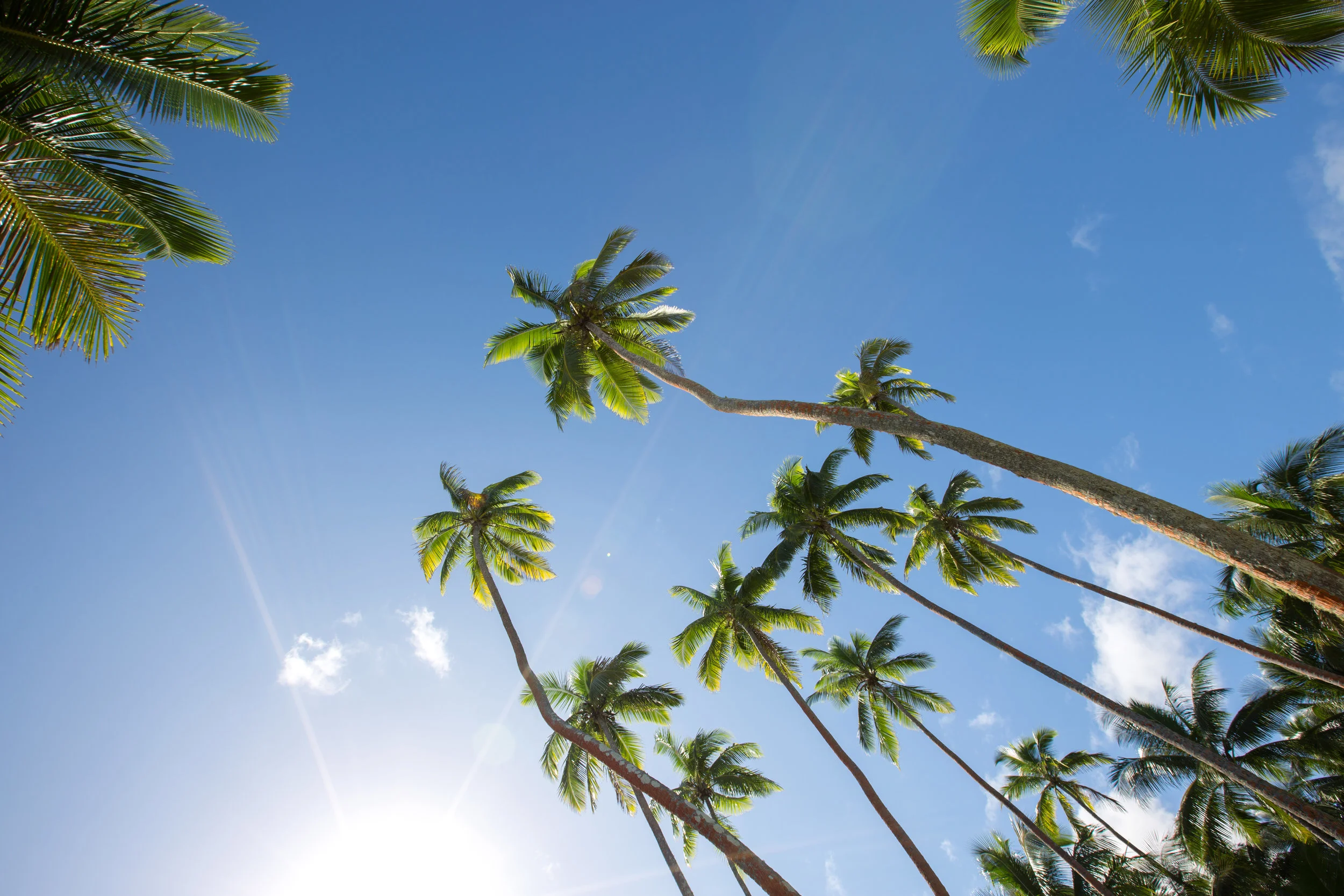 Fiji
