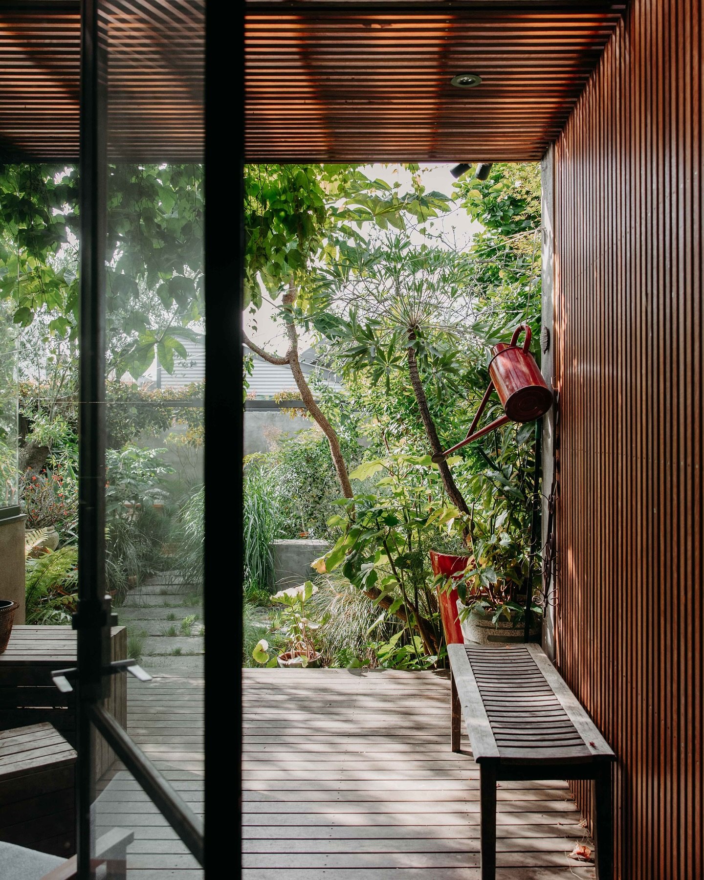 Can you spot an @amandaolivergardens when you see one? My horticulturist friend @_green.guy can and I think that&rsquo;s pretty spesh. 💚 Here are three of Amanda Oliver&rsquo;s northside gardens snapped while on one of @outlandishventures city garde