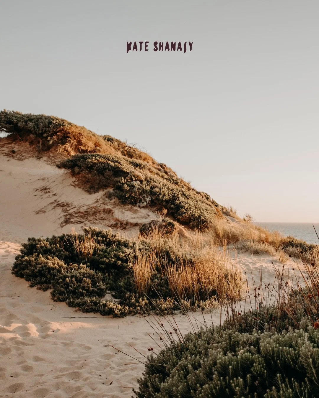 DUNES.
Mornington Peninsula.
2021-2022.

My second photo series after I left the city for some peace and slowness, which I more than received with another year of lockdowns and only a 5km &amp; 25km radius to explore; separating me from like everyone