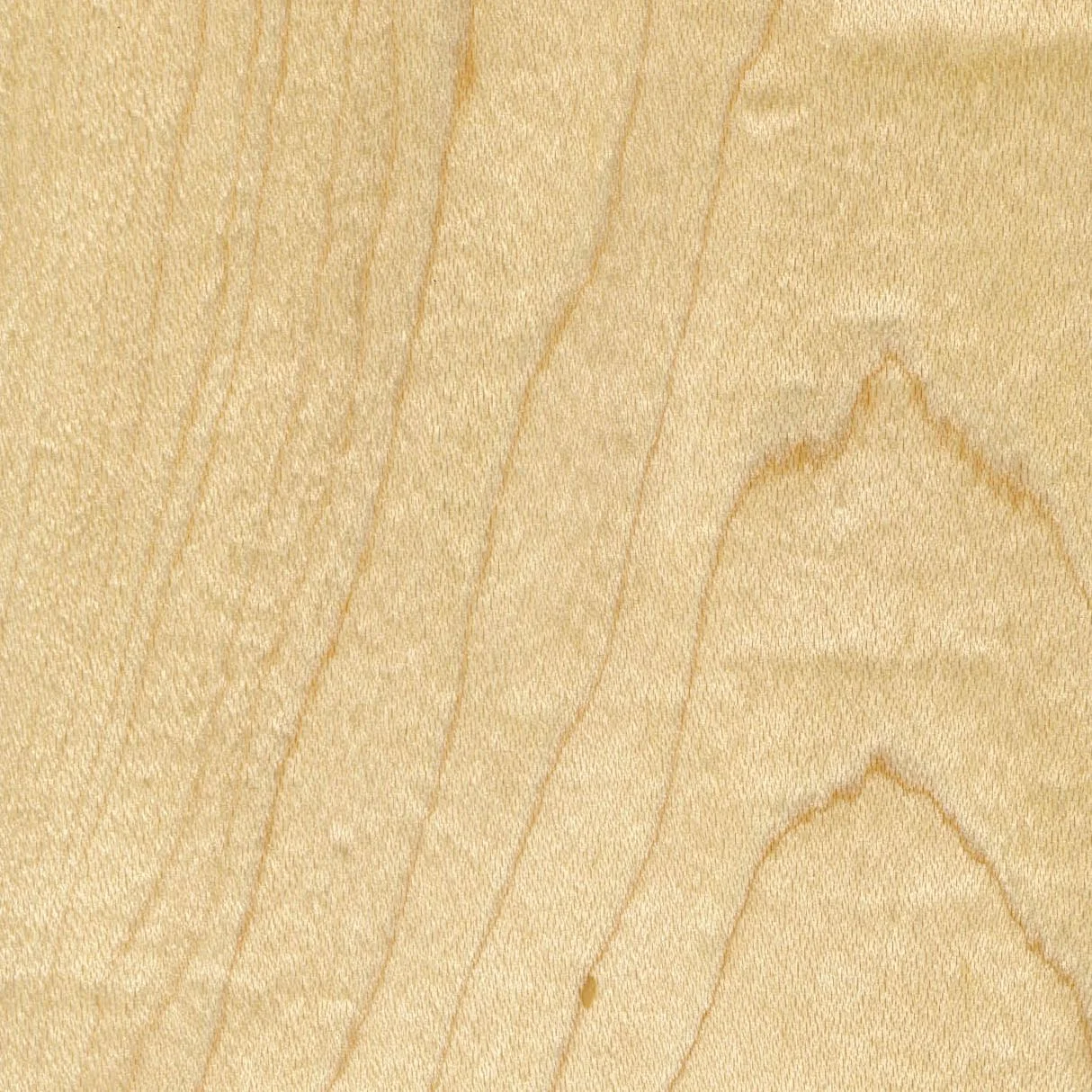 Maple