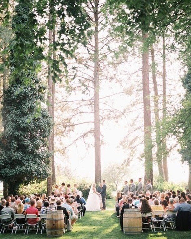 Somewhere far, far away...there gathered amongst the trees with loved ones to say &quot;I DO&quot;. We love enchanting love stories and especially ones that look like this! ⠀⠀⠀⠀⠀⠀⠀⠀⠀
⠀⠀⠀⠀⠀⠀⠀⠀⠀
Where do you see yourself getting married?⠀⠀⠀⠀⠀⠀⠀⠀⠀
photo