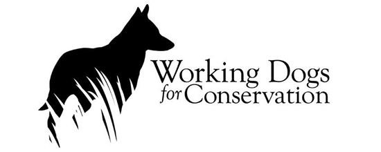 workingdogs.png