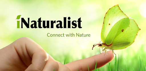 iNaturalist-logo.png